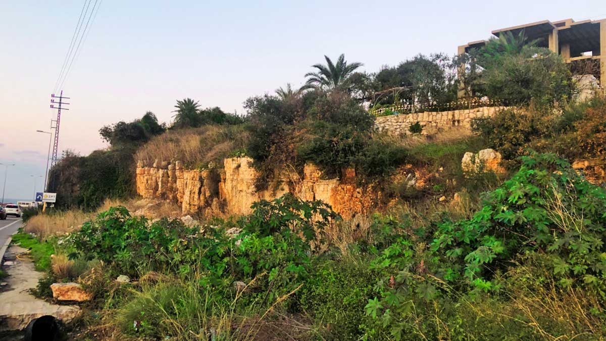 land for sale in amchit