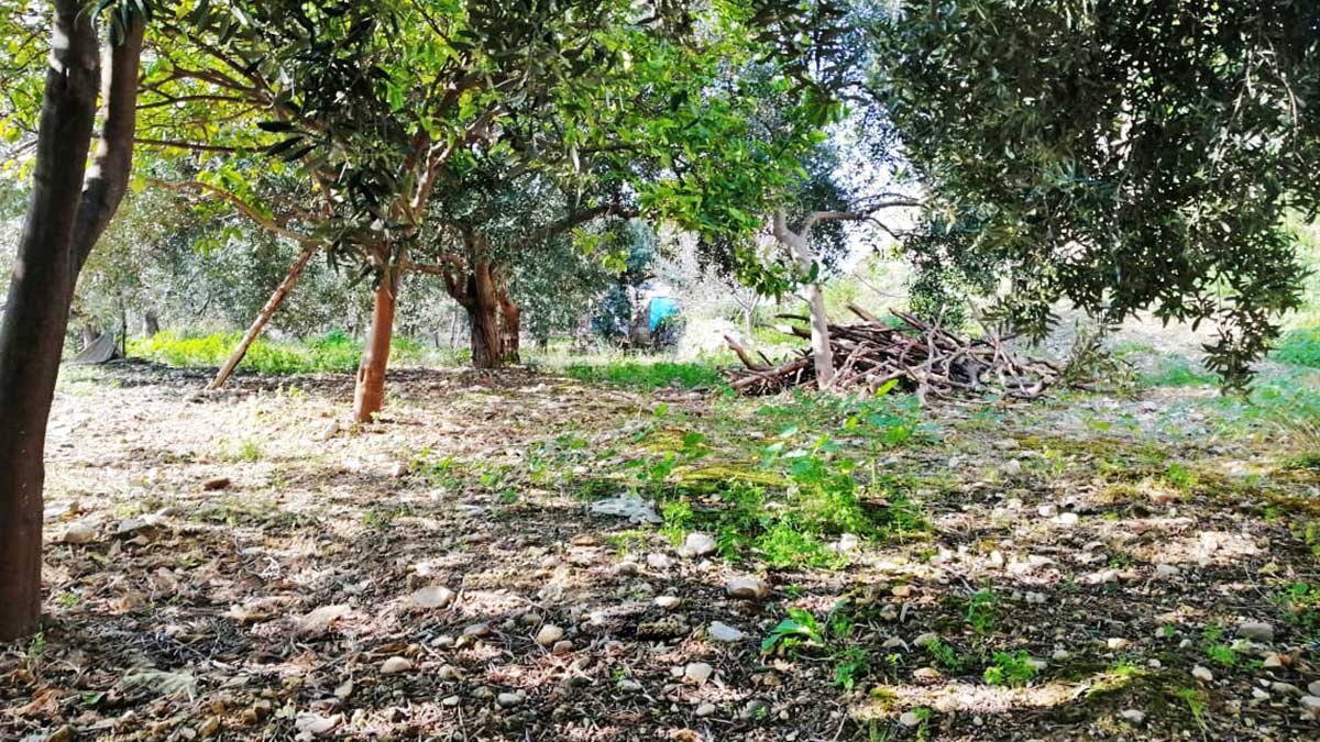 land for sale in blat