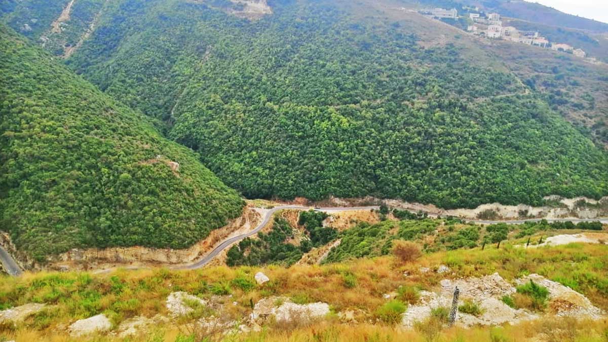 land for sale in eddeh