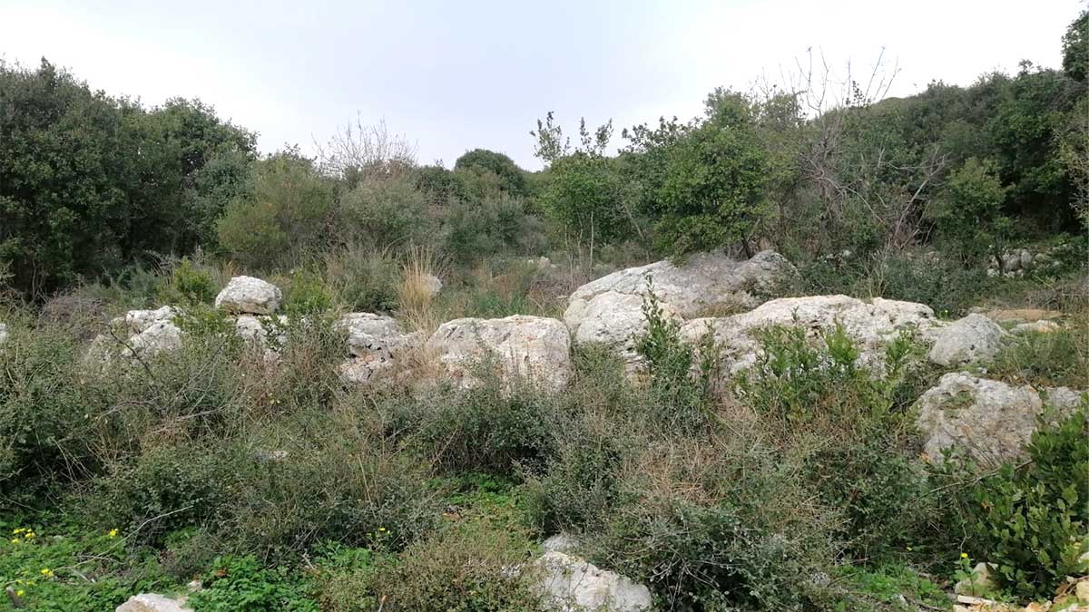 land for sale in mounsef