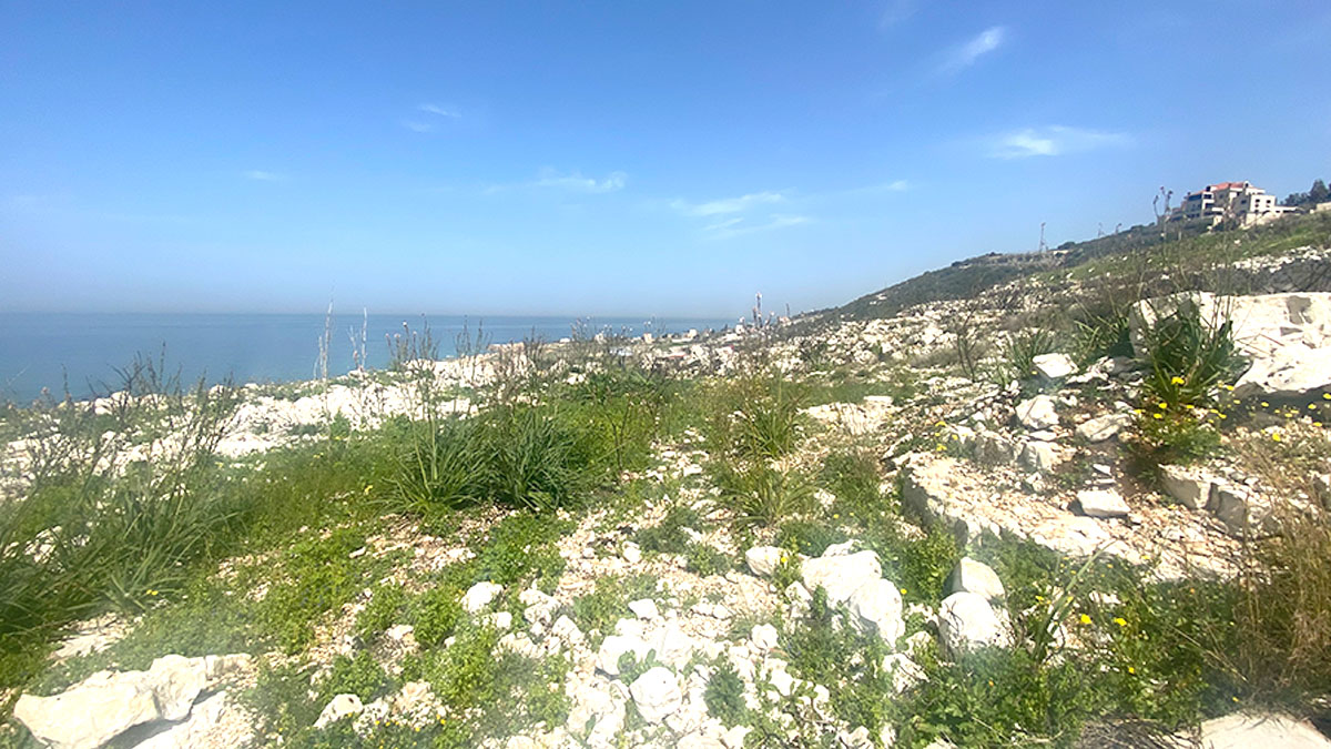 2666 sqm land for sale in jbeil, mounsef for $1500000