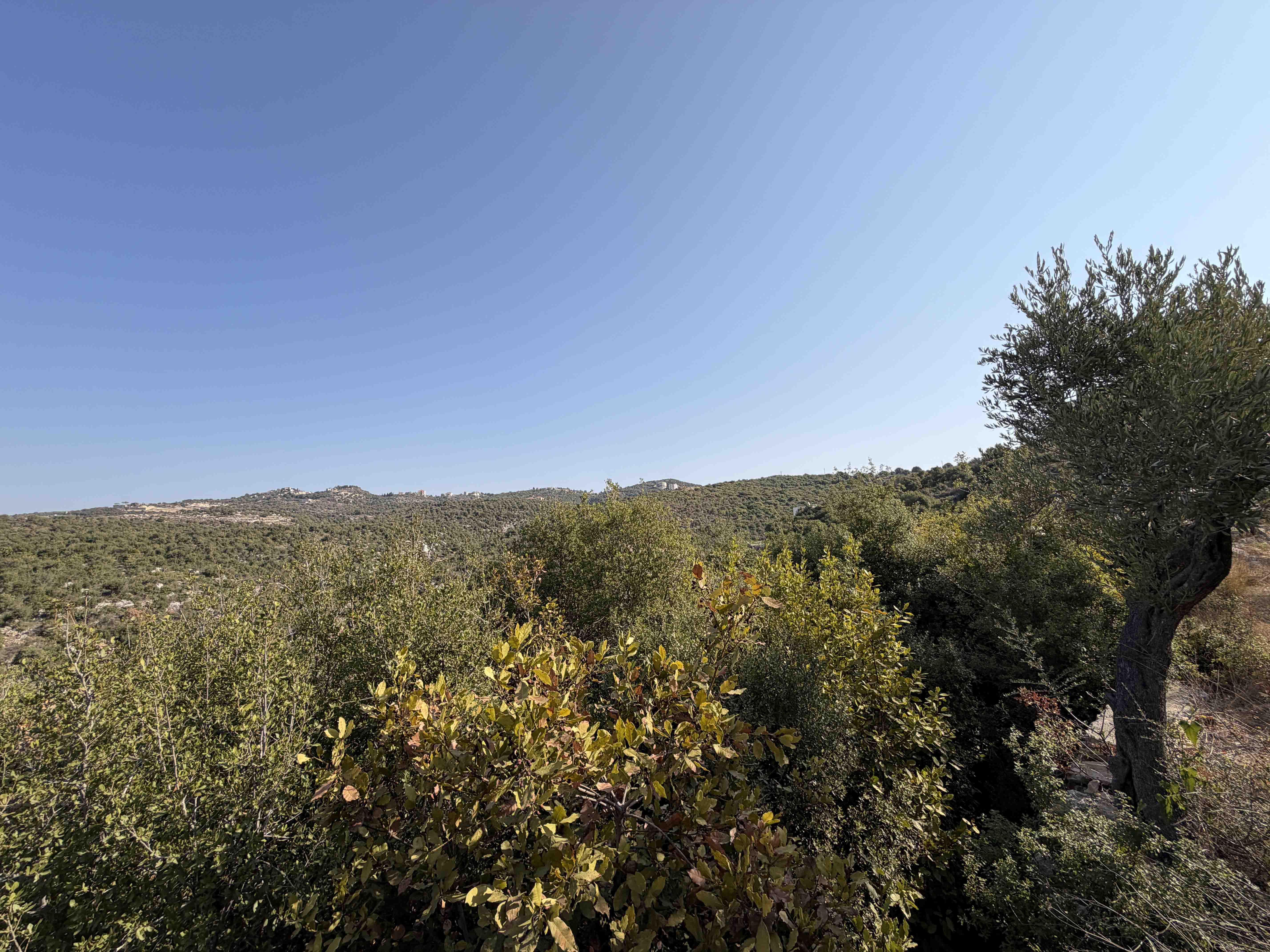 954 sqm land for sale in jbeil, chikhane for $125000