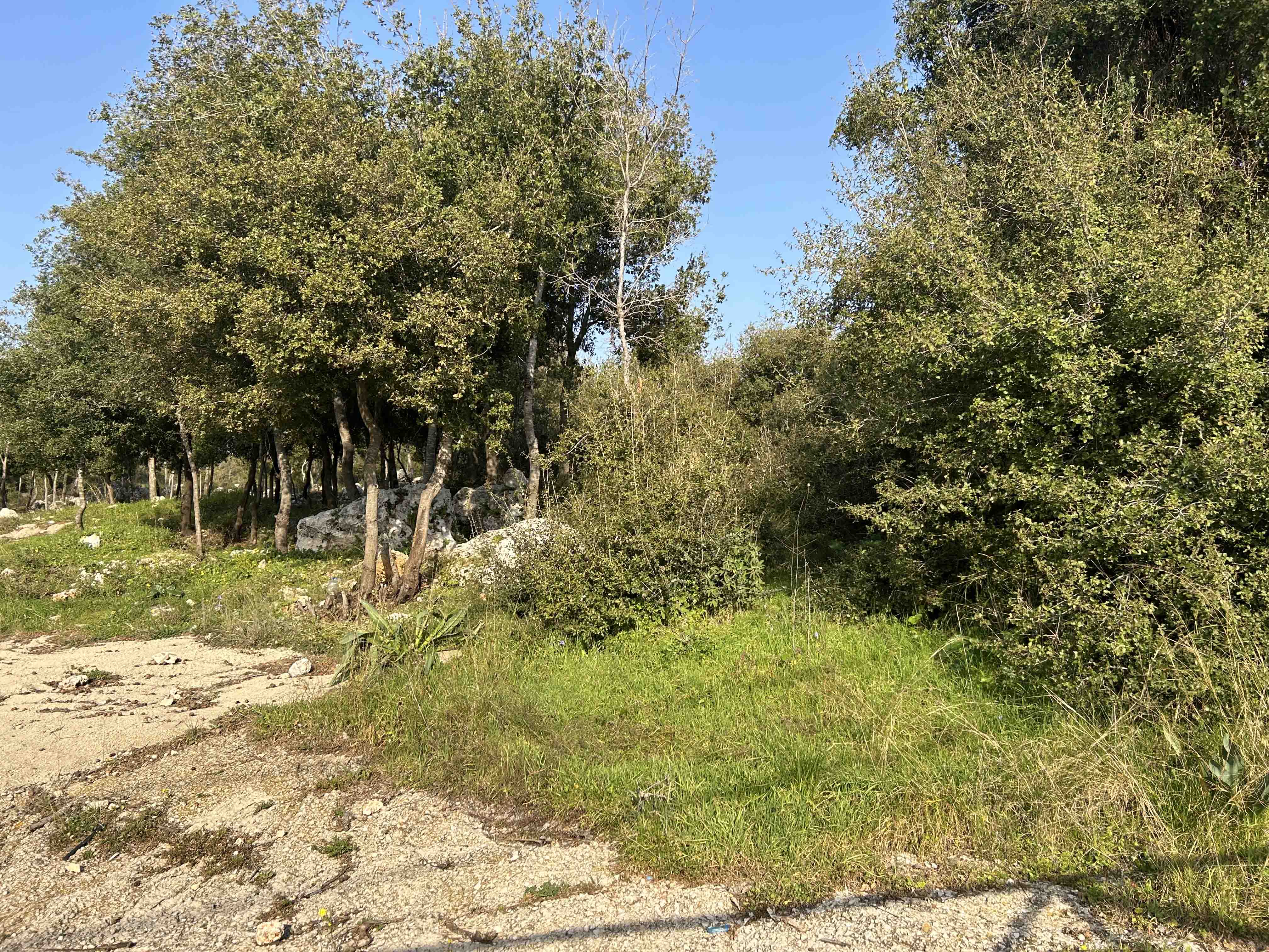 land for sale in breij