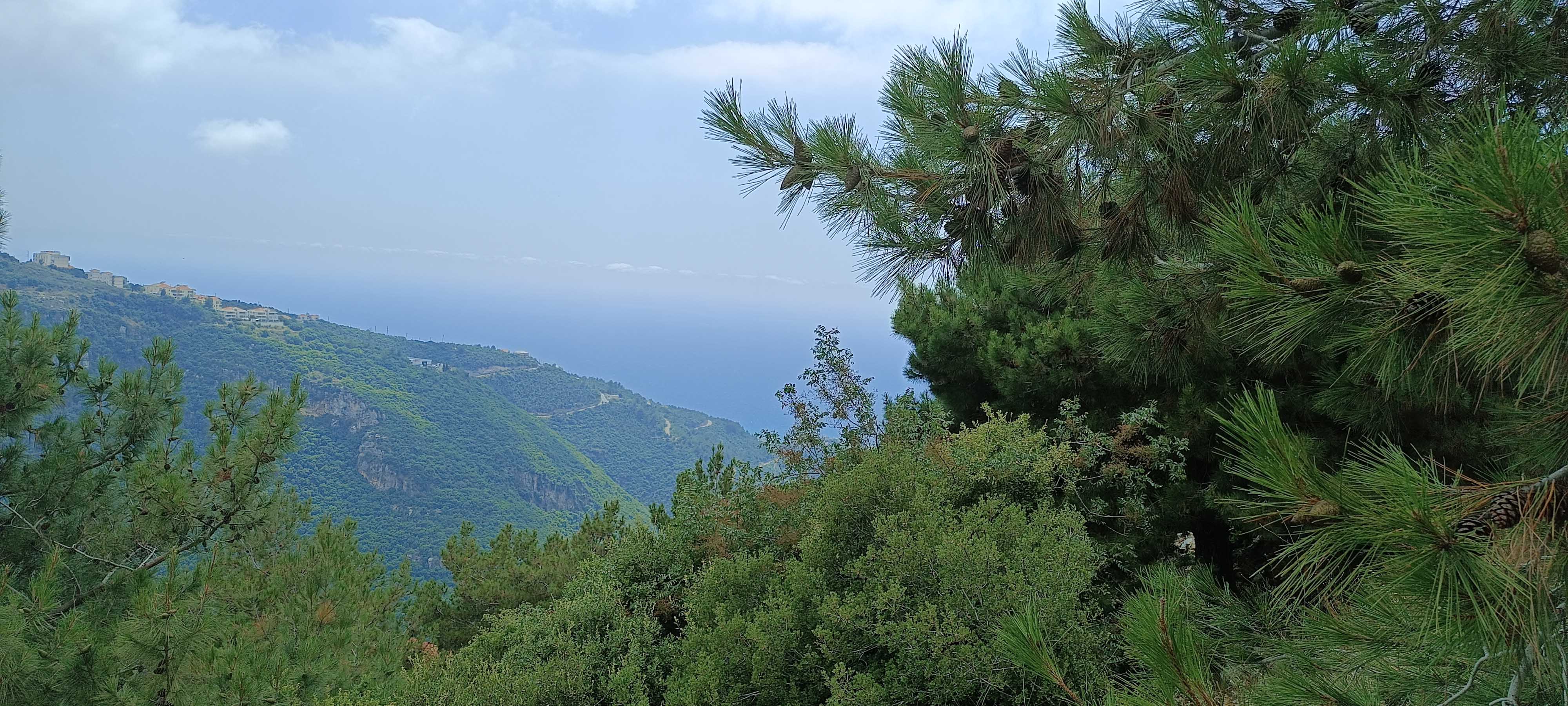 land for sale in blat