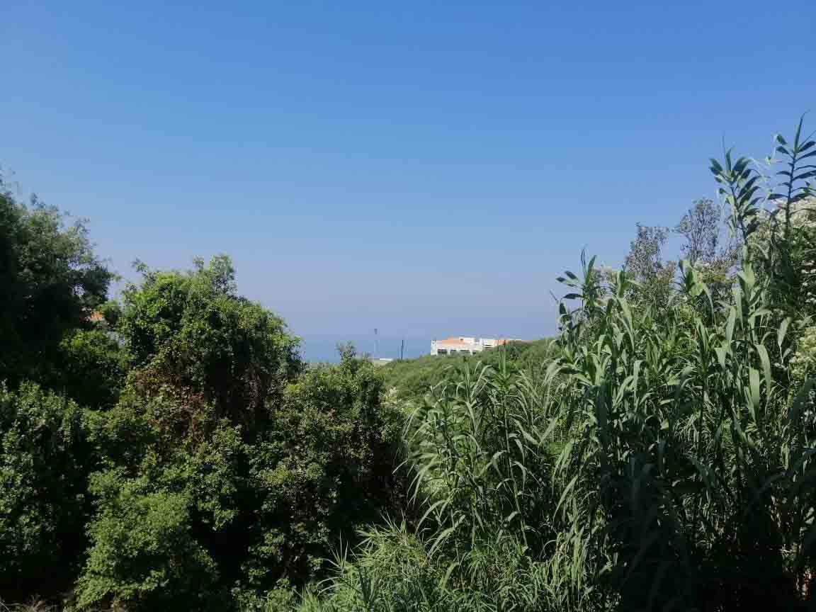 apartment for sale in eddeh