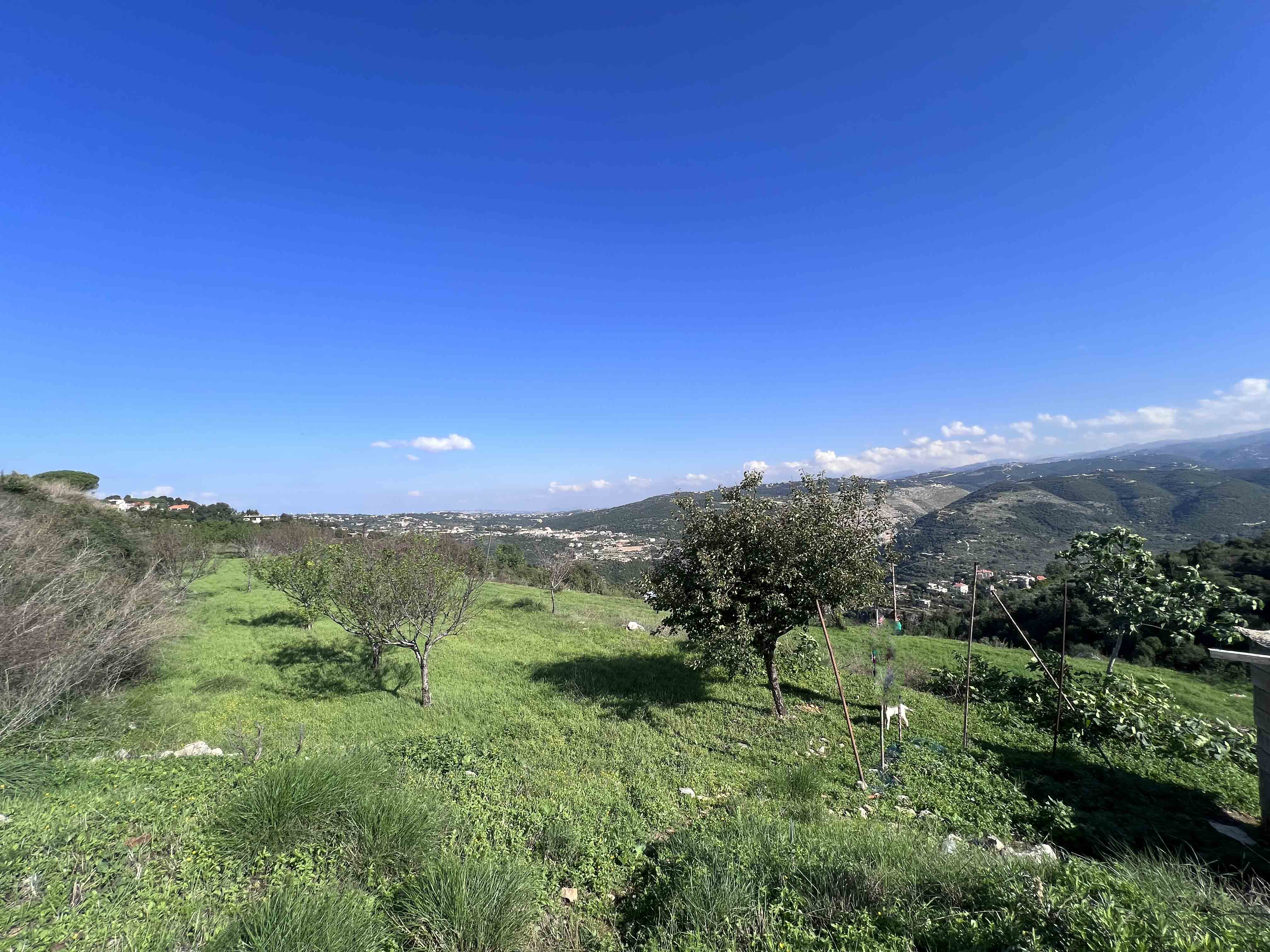 land for sale in maad