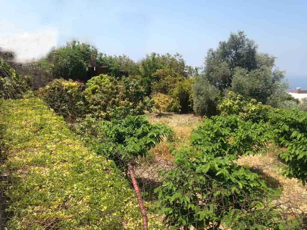 land for sale in blat