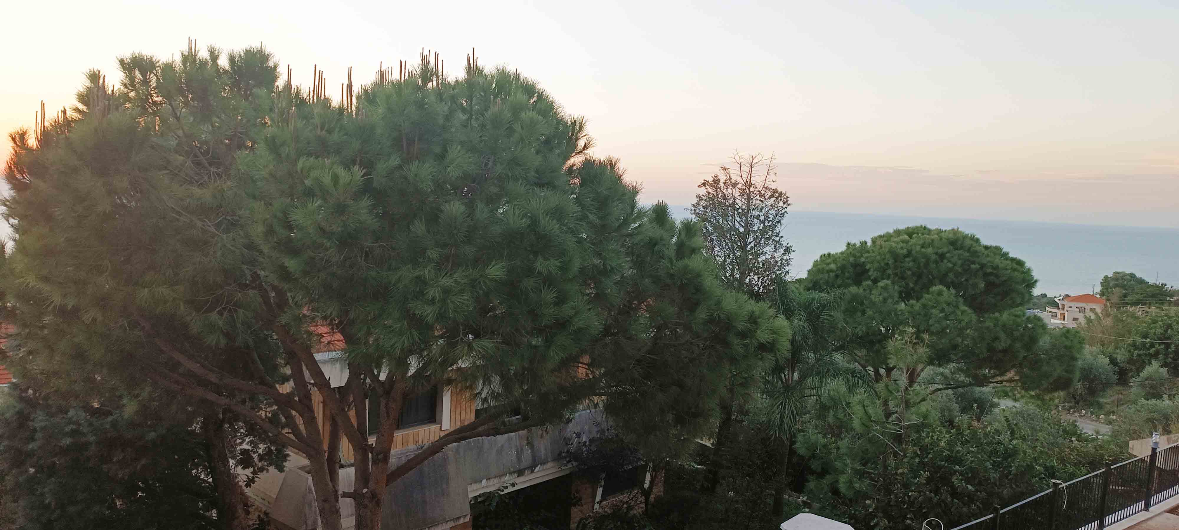 apartment for sale in jadayel