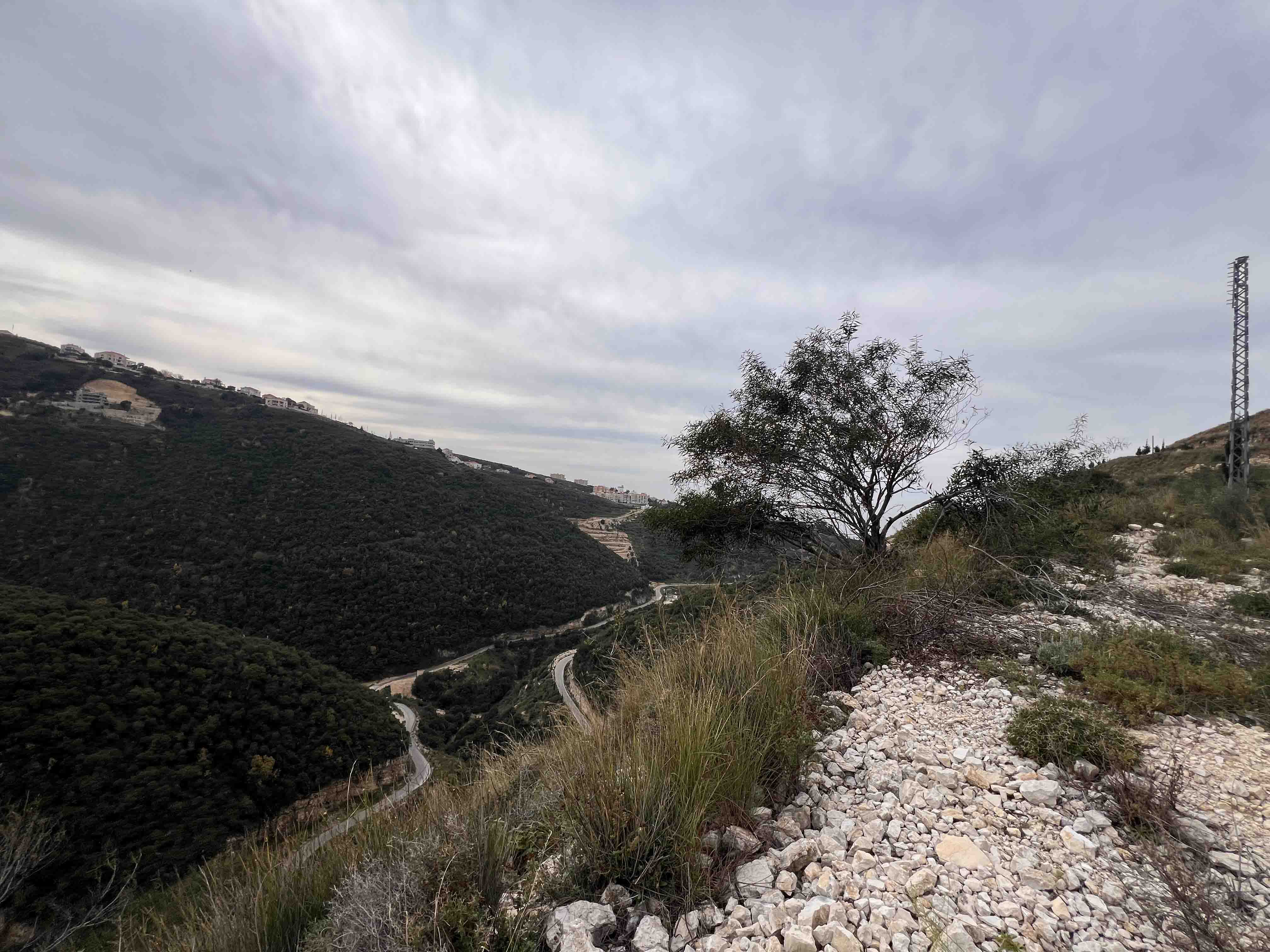 land for sale in eddeh