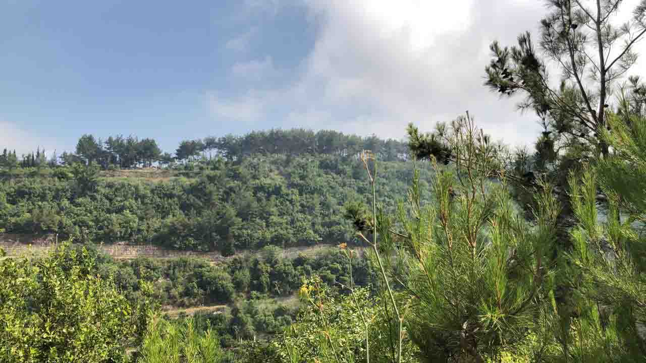 land for sale in maaysrah