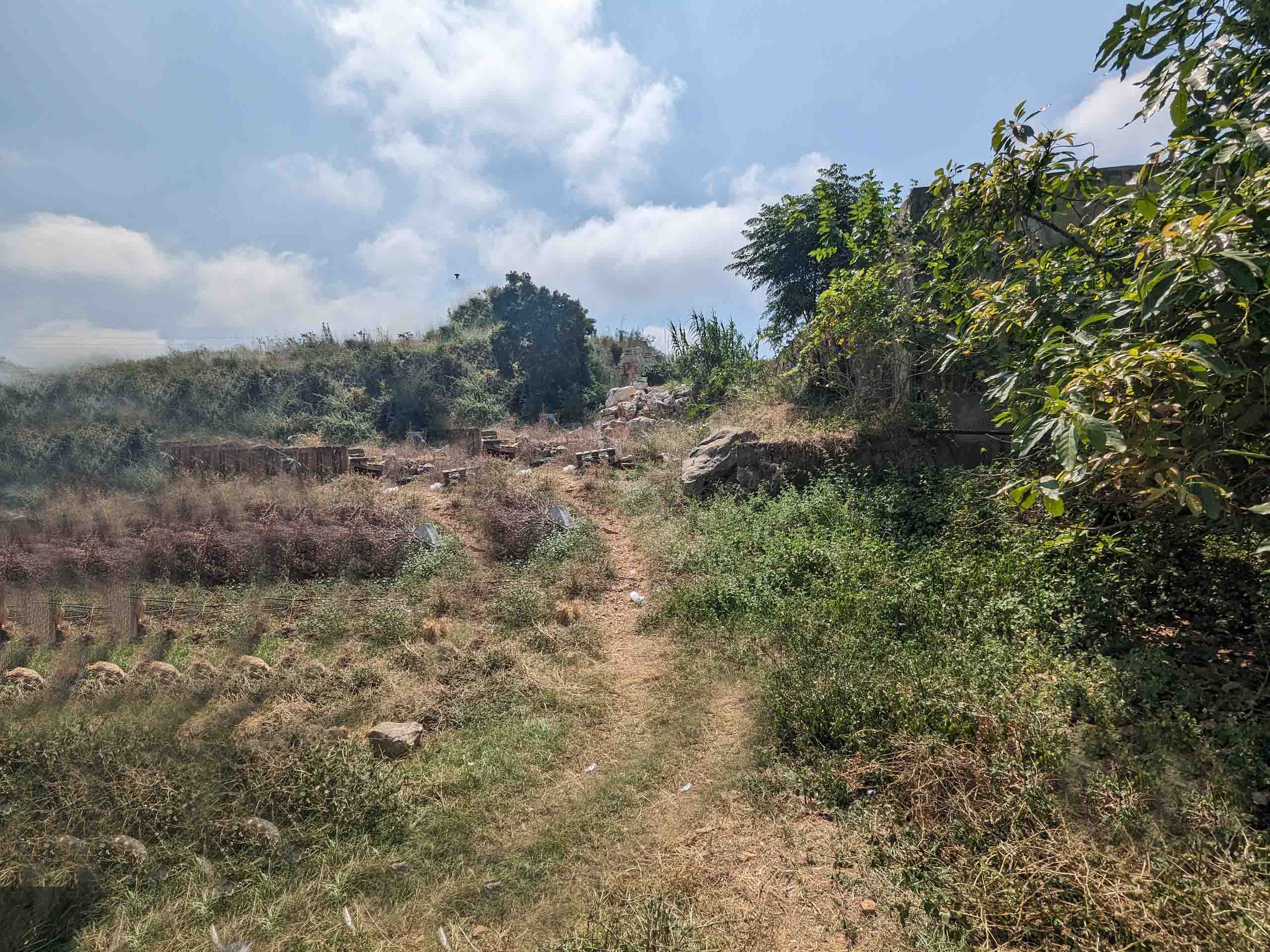 land for sale in amchit