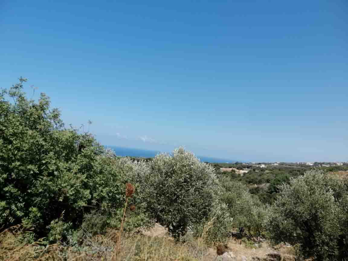land for sale in mounsef