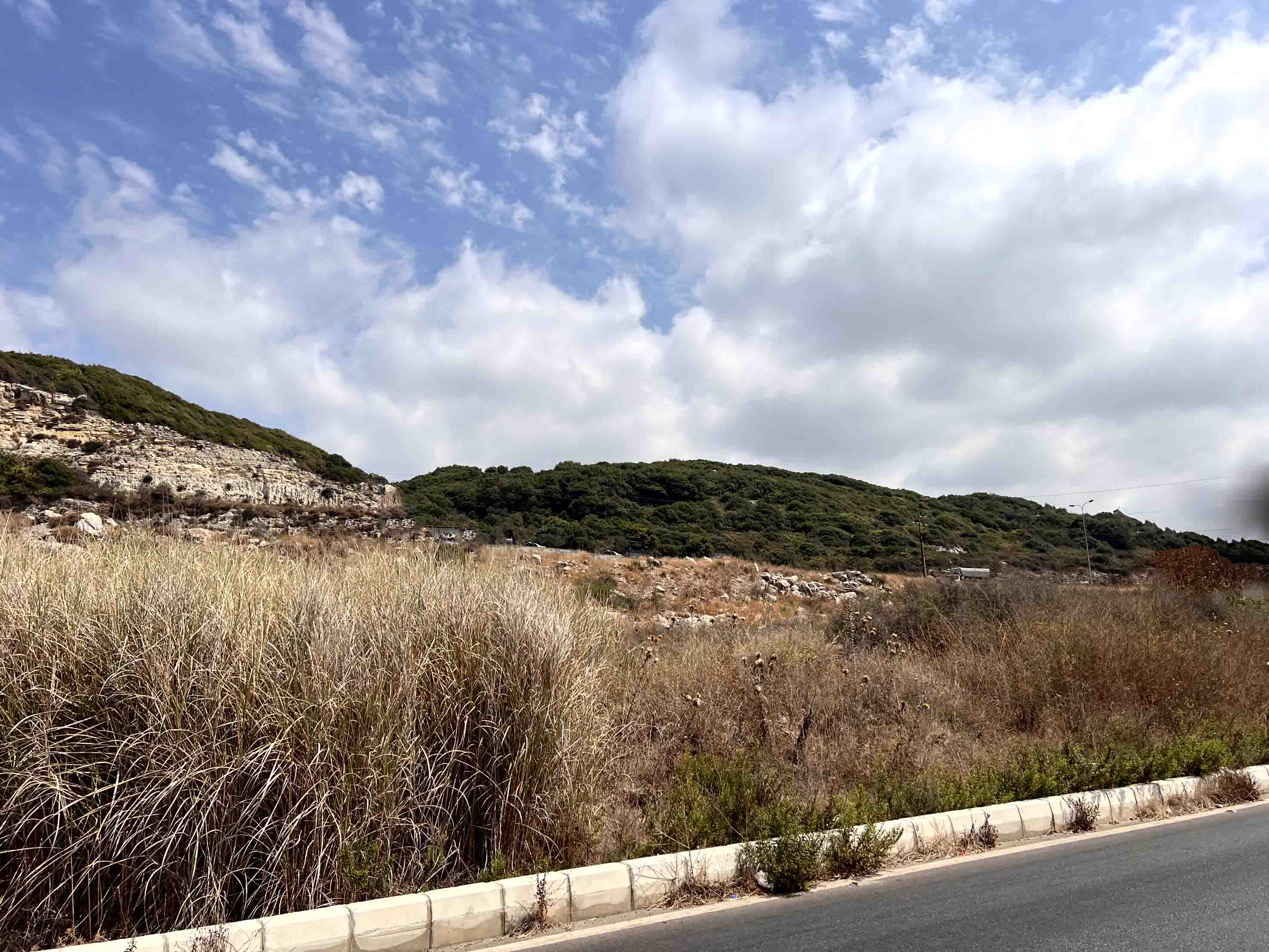land for sale in amchit
