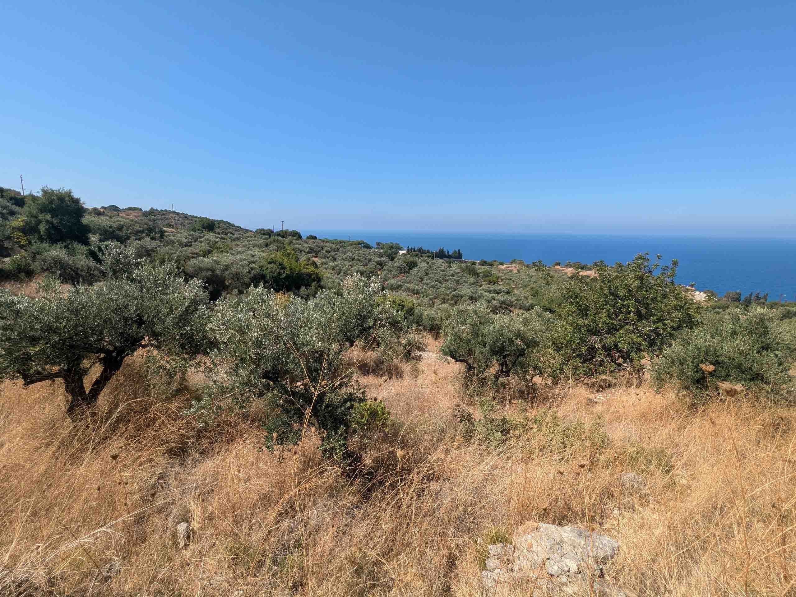 land for sale in kfar keddeh