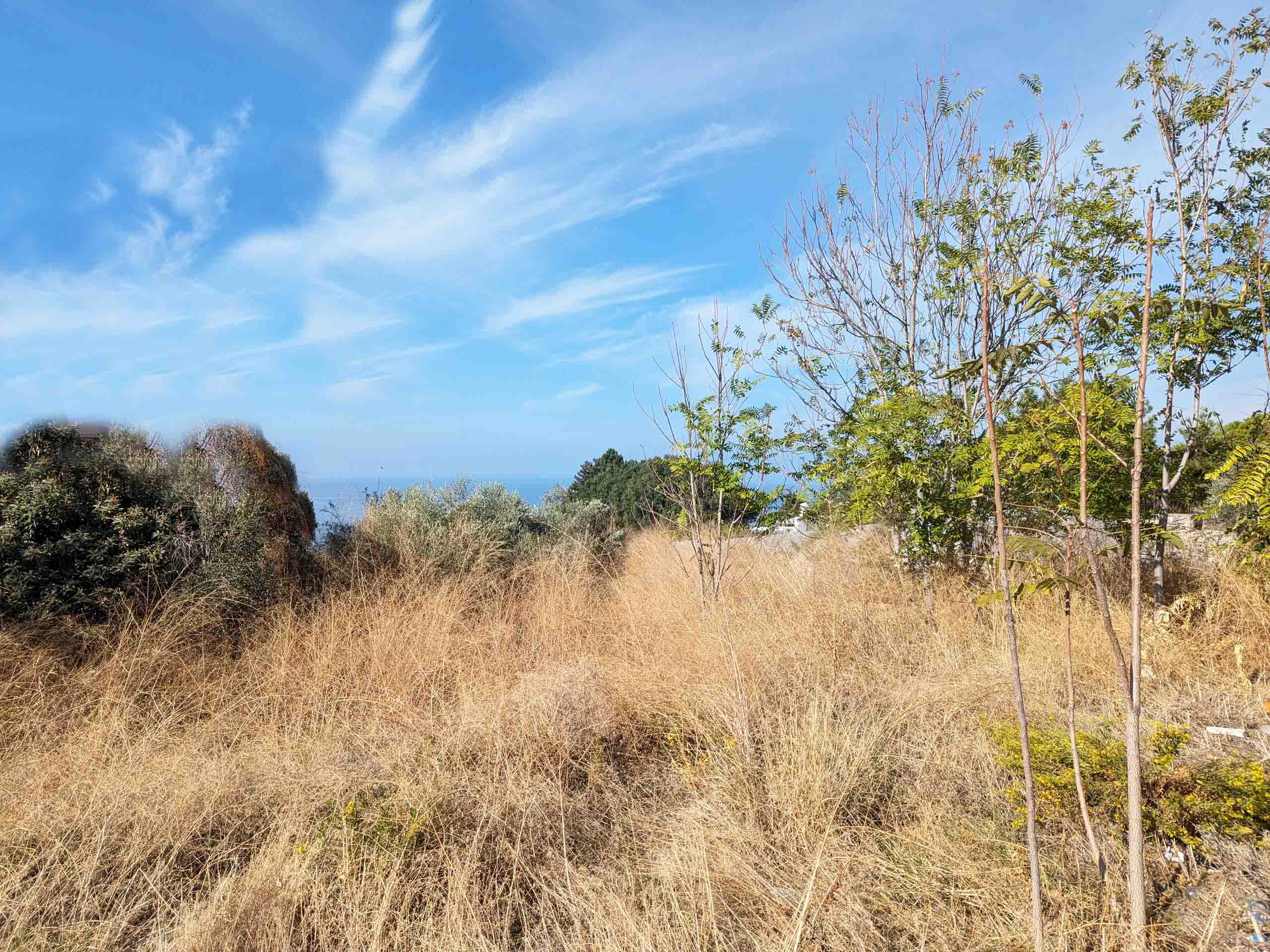 land for sale in blat