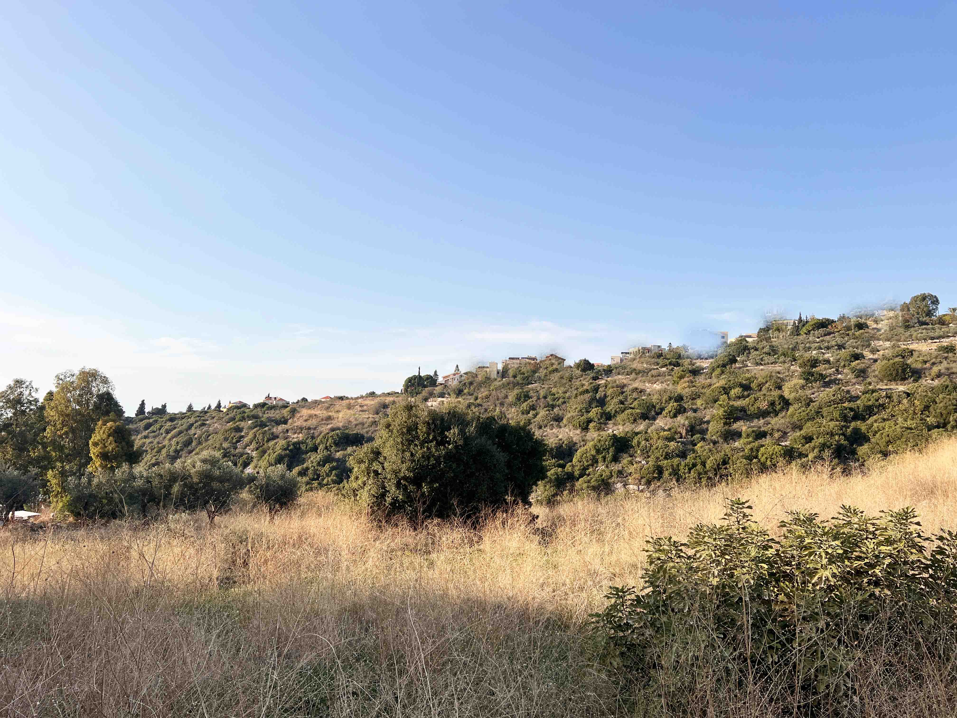 land for sale in hosrayel