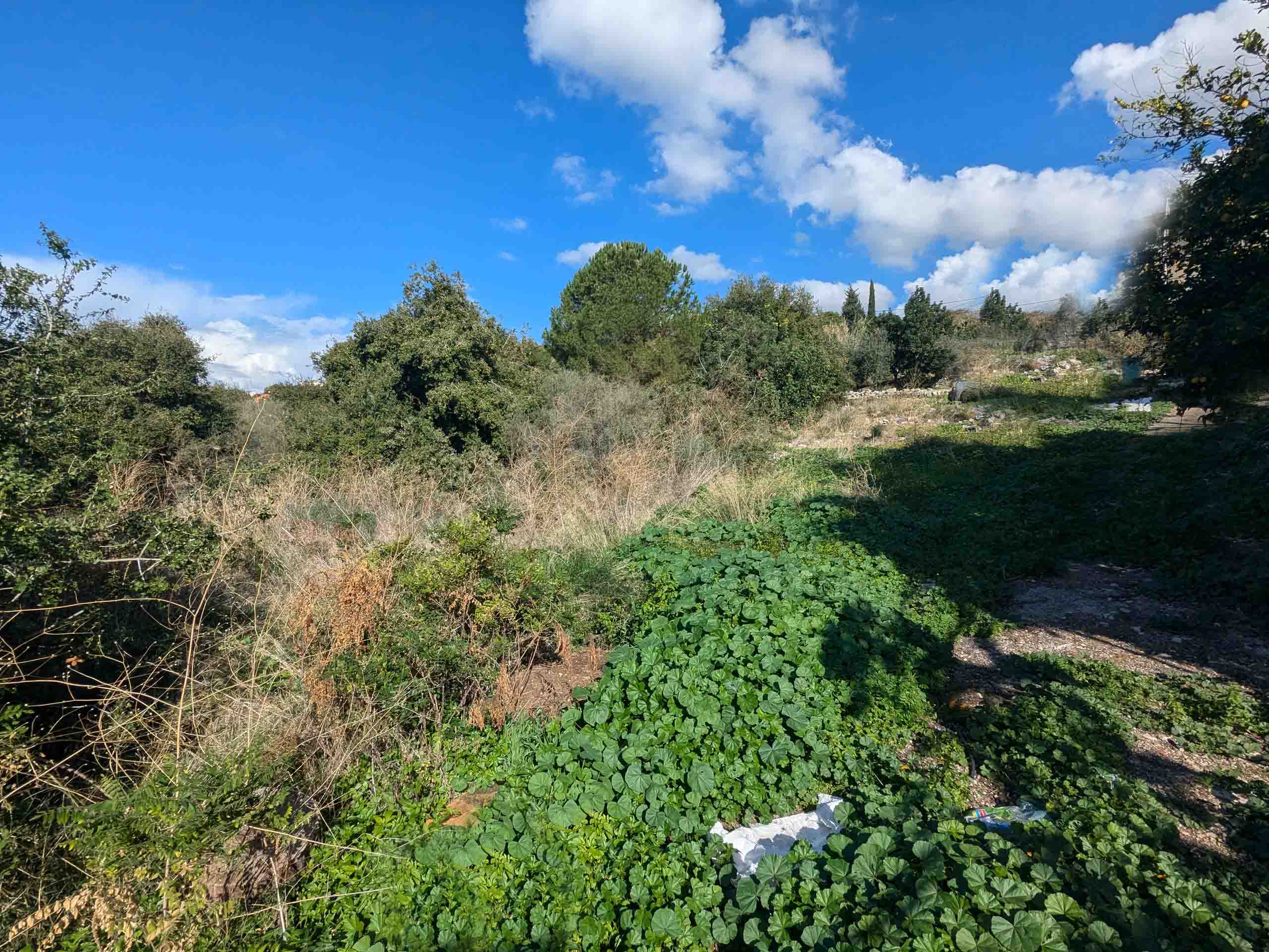 land for sale in chikhane