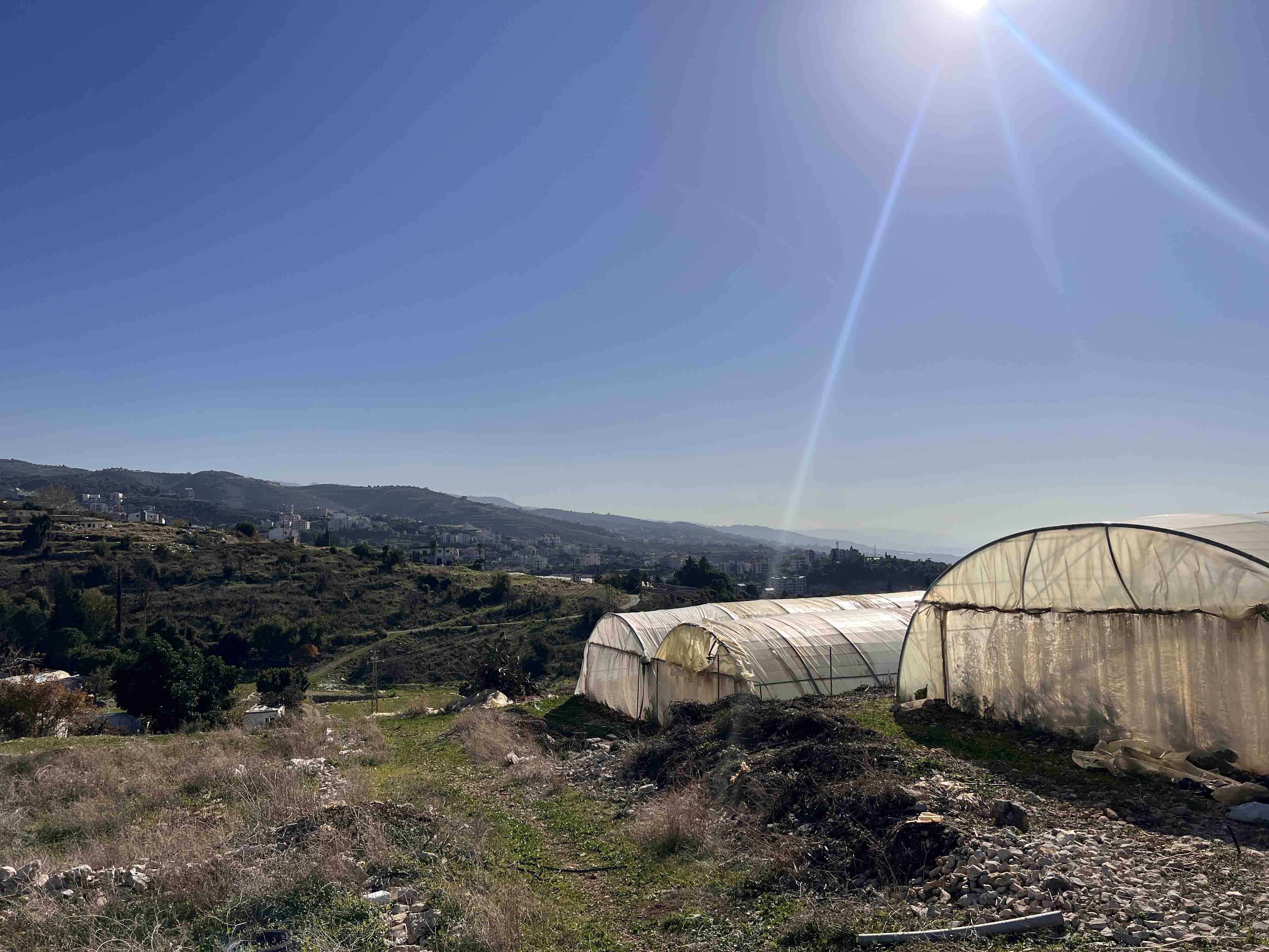 land for sale in eddeh