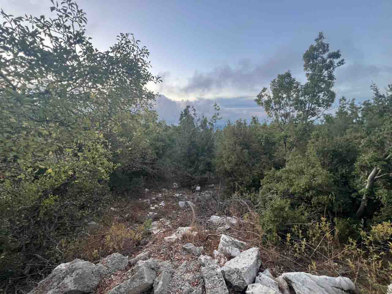 land for sale in mechmech