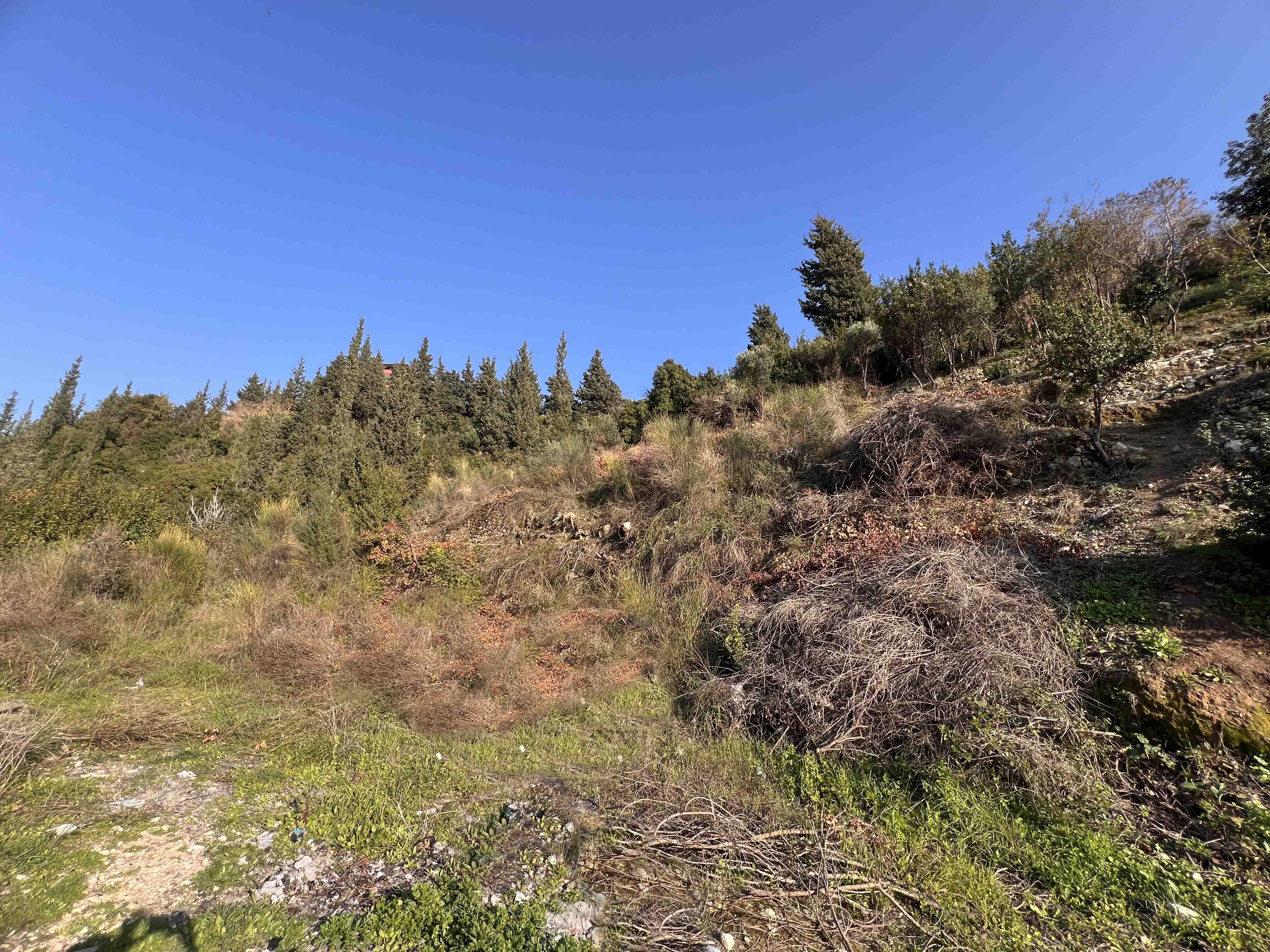 land for sale in okaibe