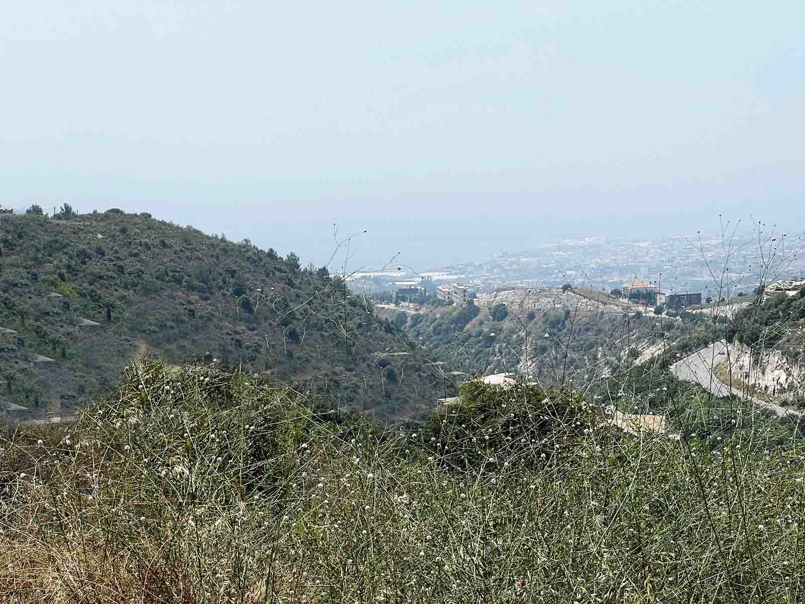 land for sale in hboub