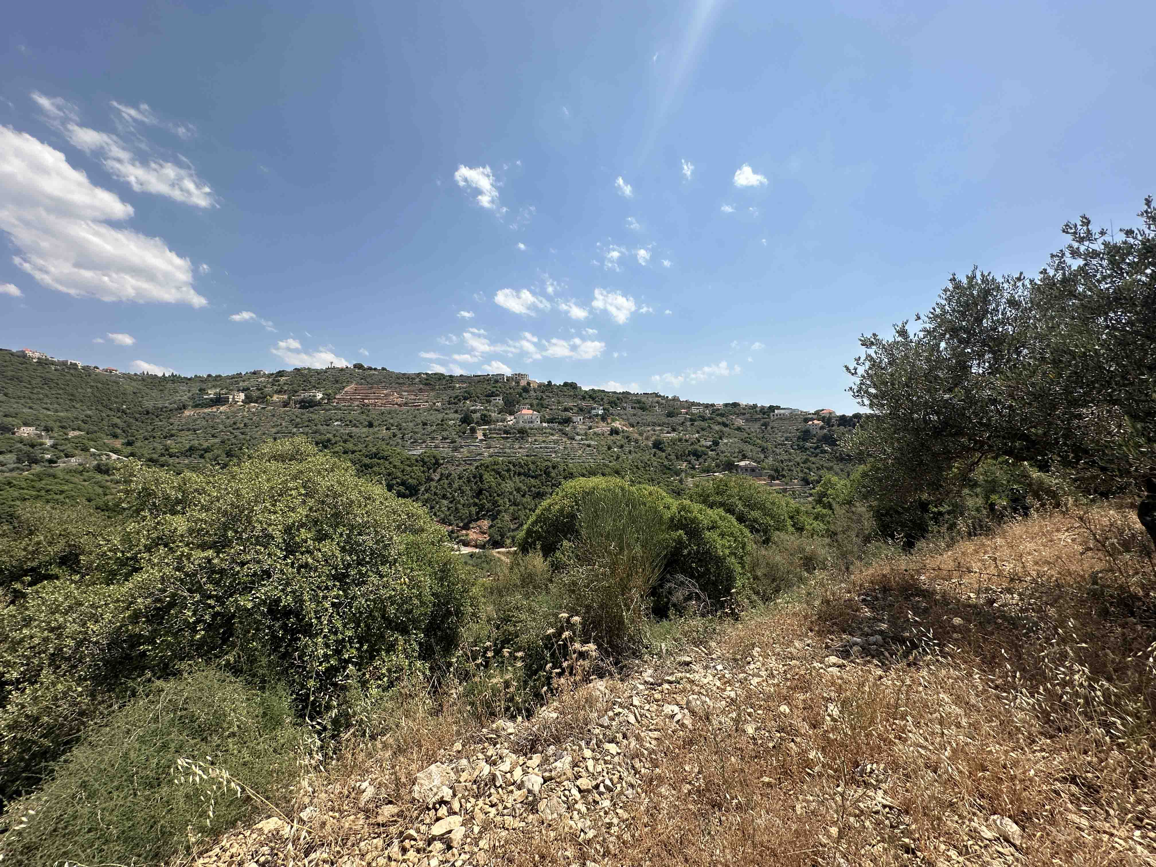 land for sale in bejjeh