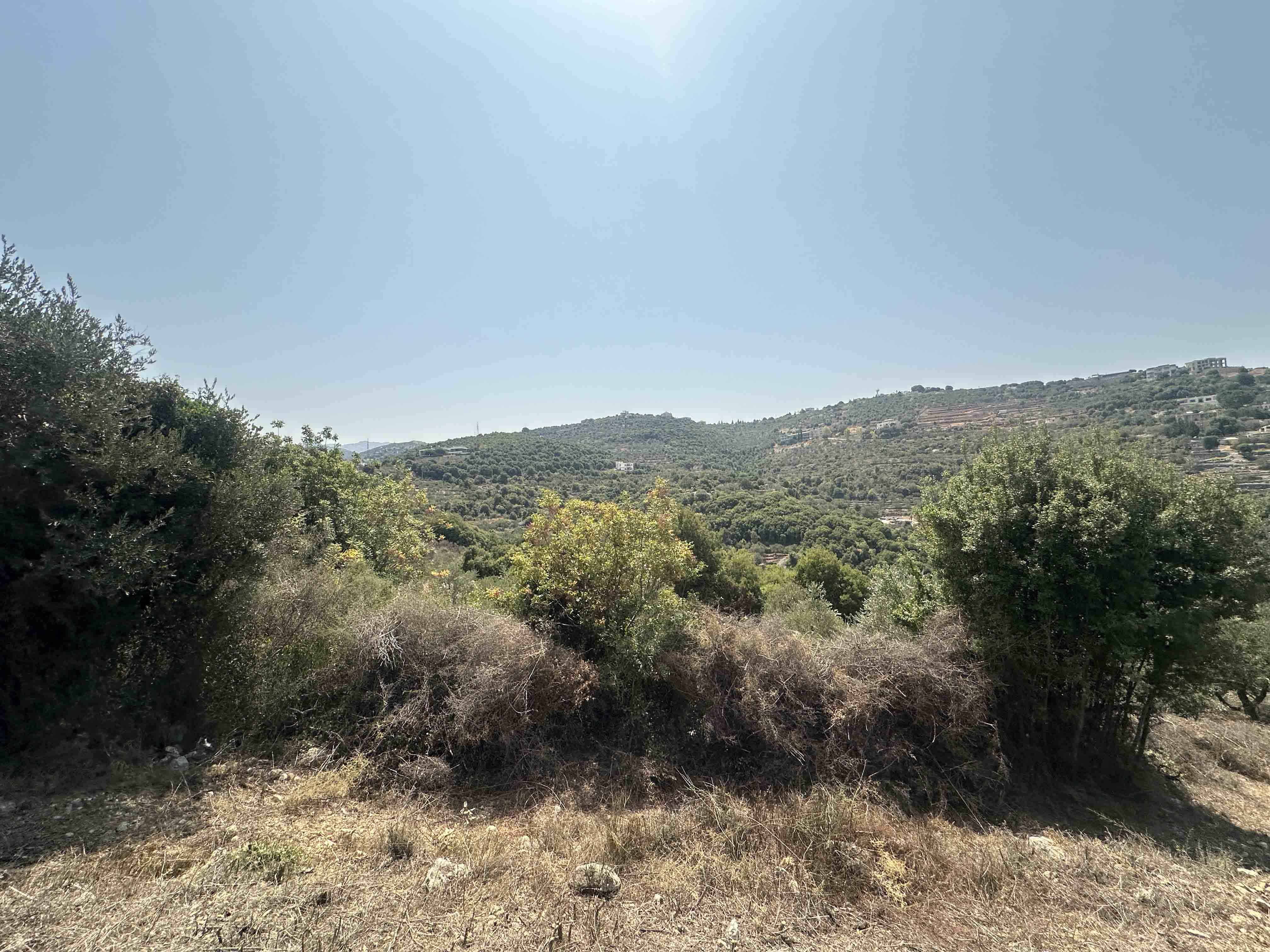 1741 sqm land for sale in jbeil, bejjeh for $100000