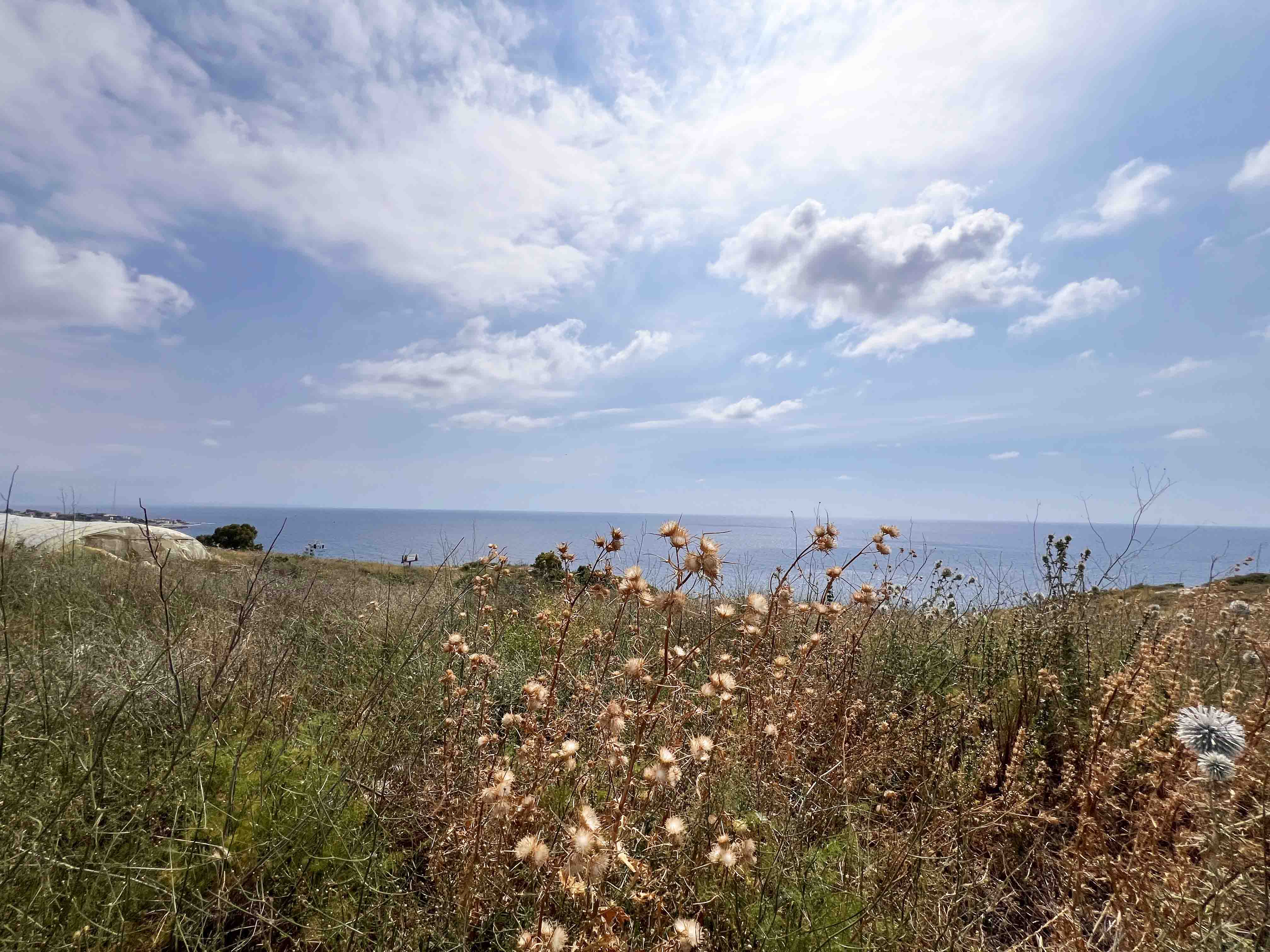 17000 sqm land for sale in jbeil, rihaneh for $11900000