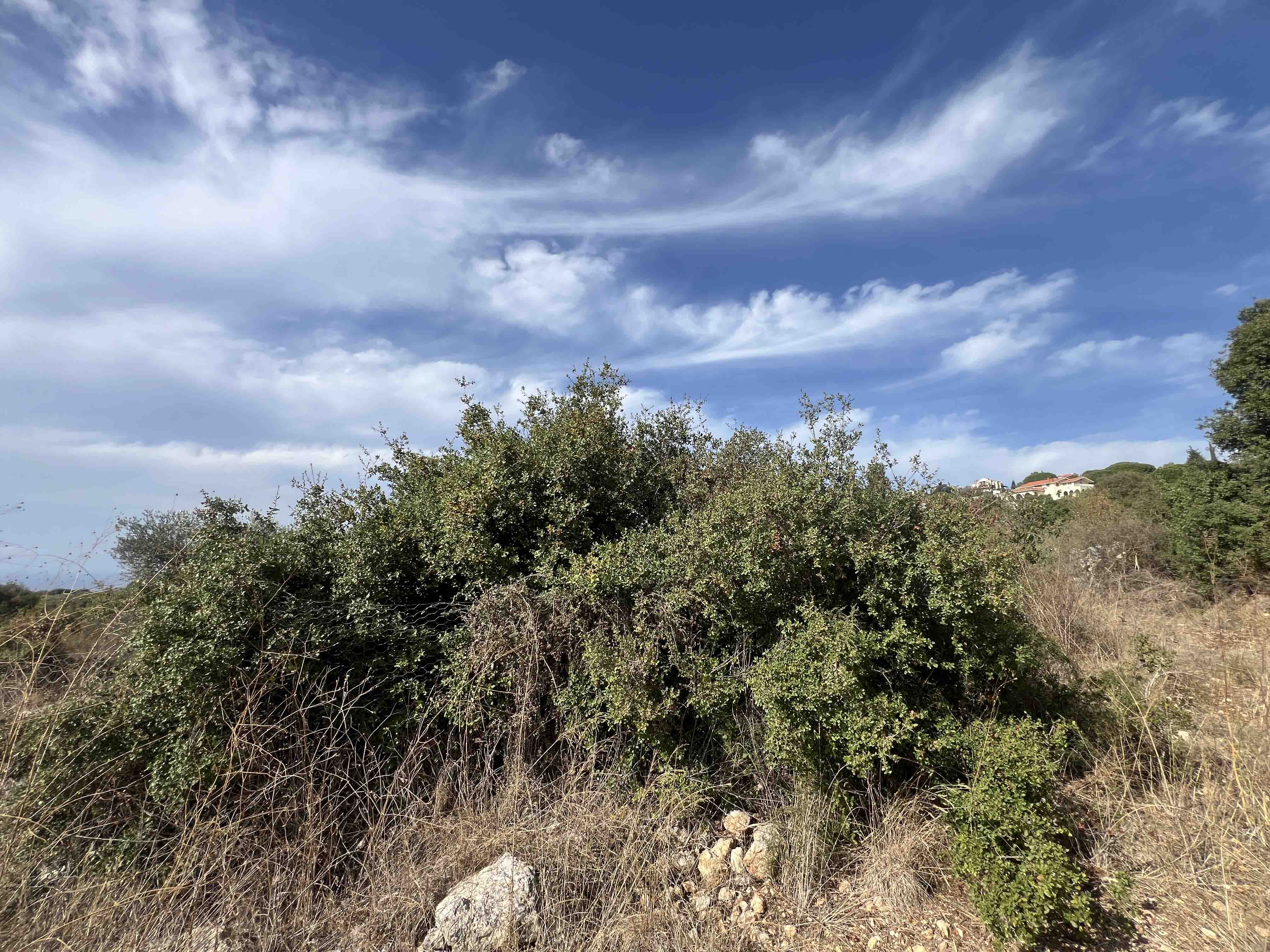 2928 sqm land for sale in jbeil, chikhane for $395280