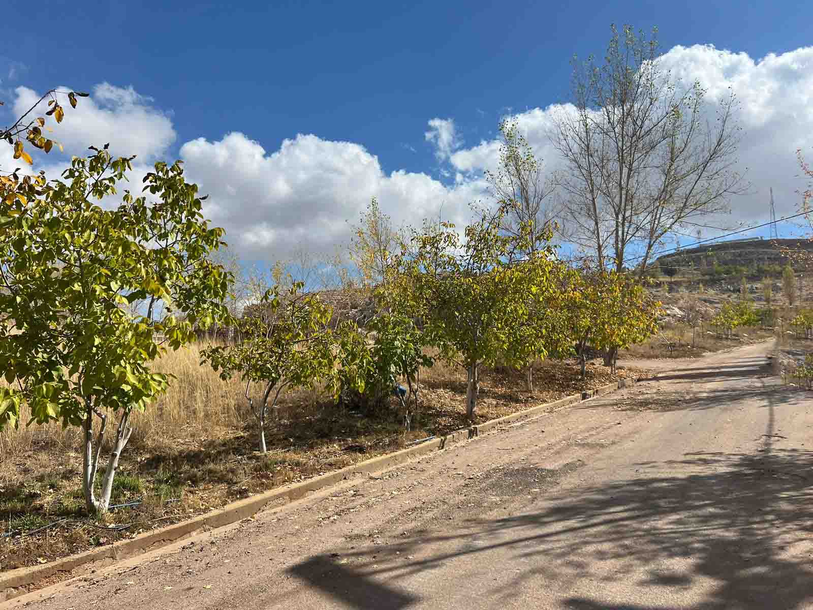 land for sale in laklouk