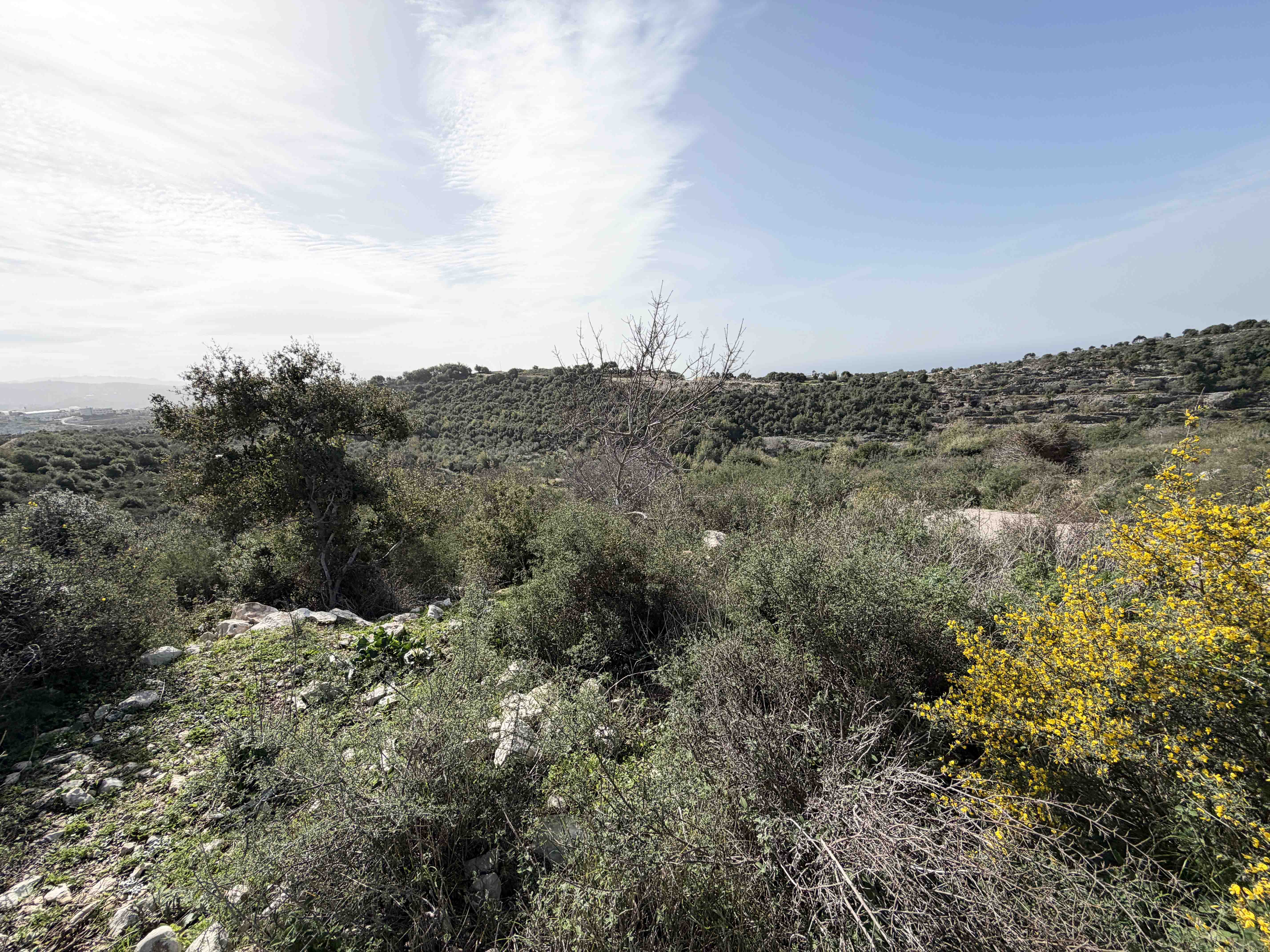 2000 sqm land for sale in jbeil, gharzouz for $200000