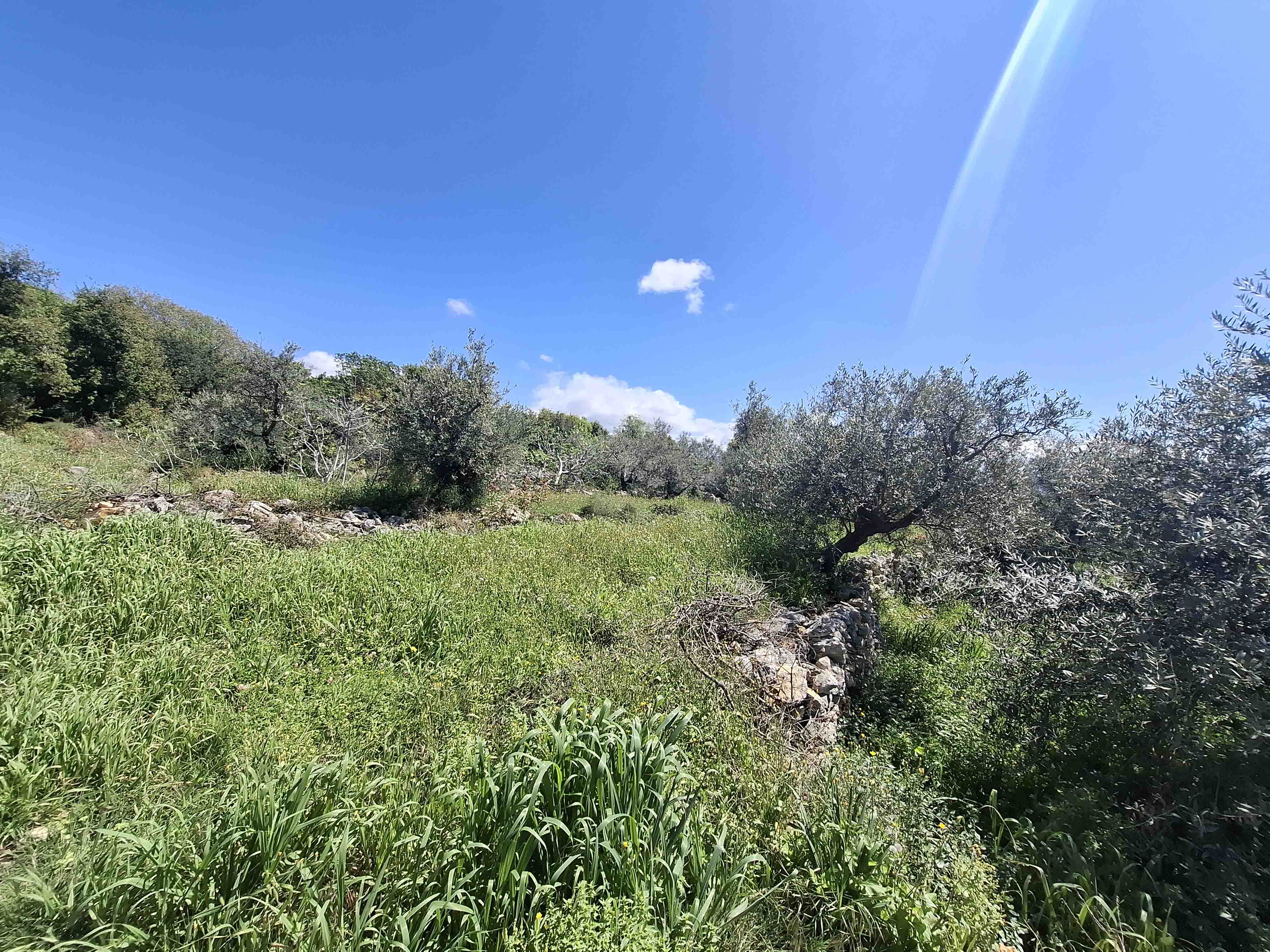 1255 sqm land for sale in jbeil, mounsef for $285000