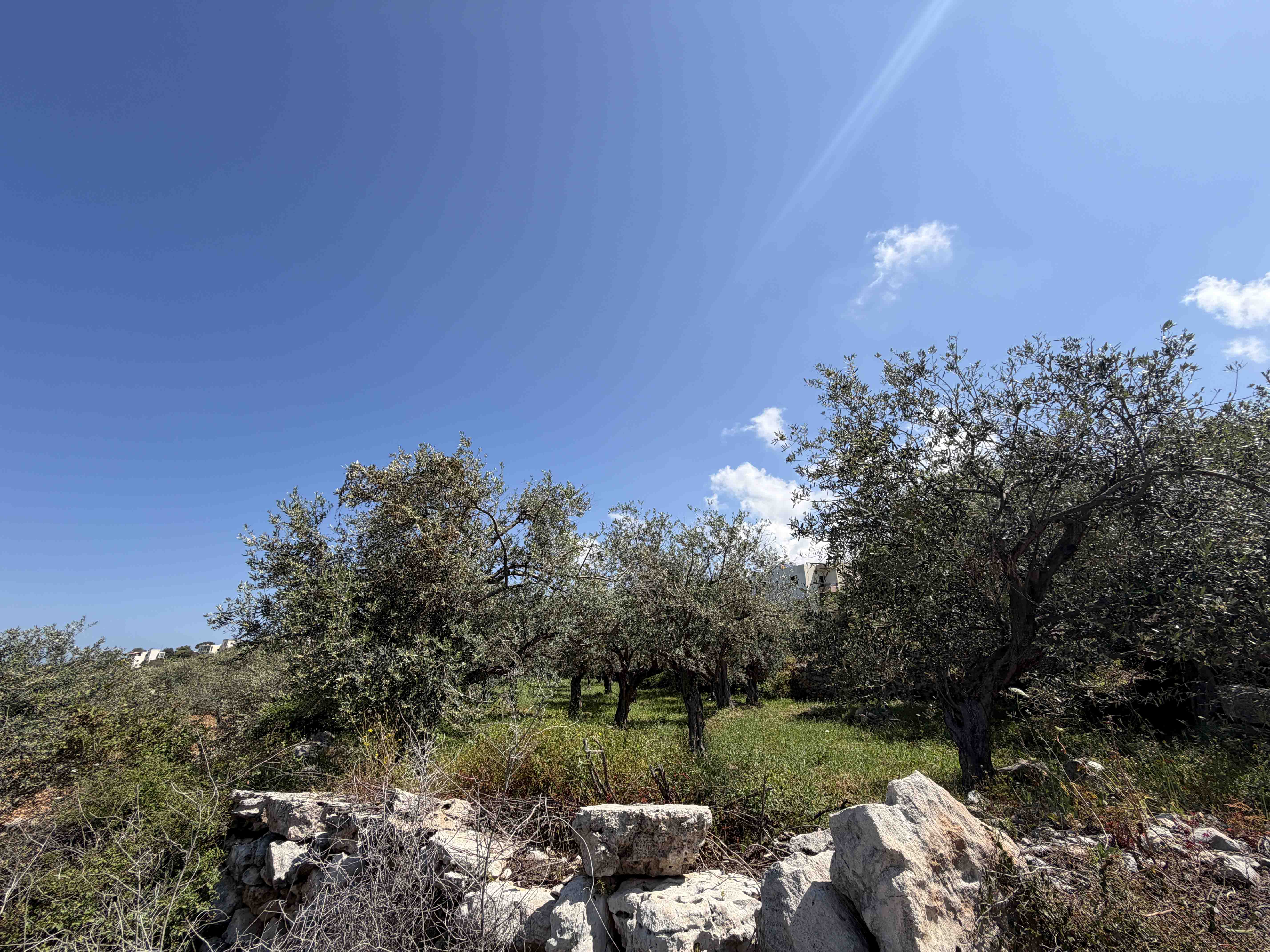 2500 sqm land for sale in jbeil, mounsef for $625000
