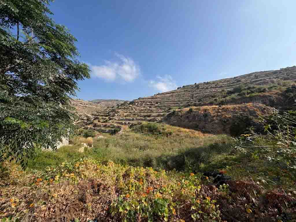 890 sqm land for sale in jbeil, blat for $350000
