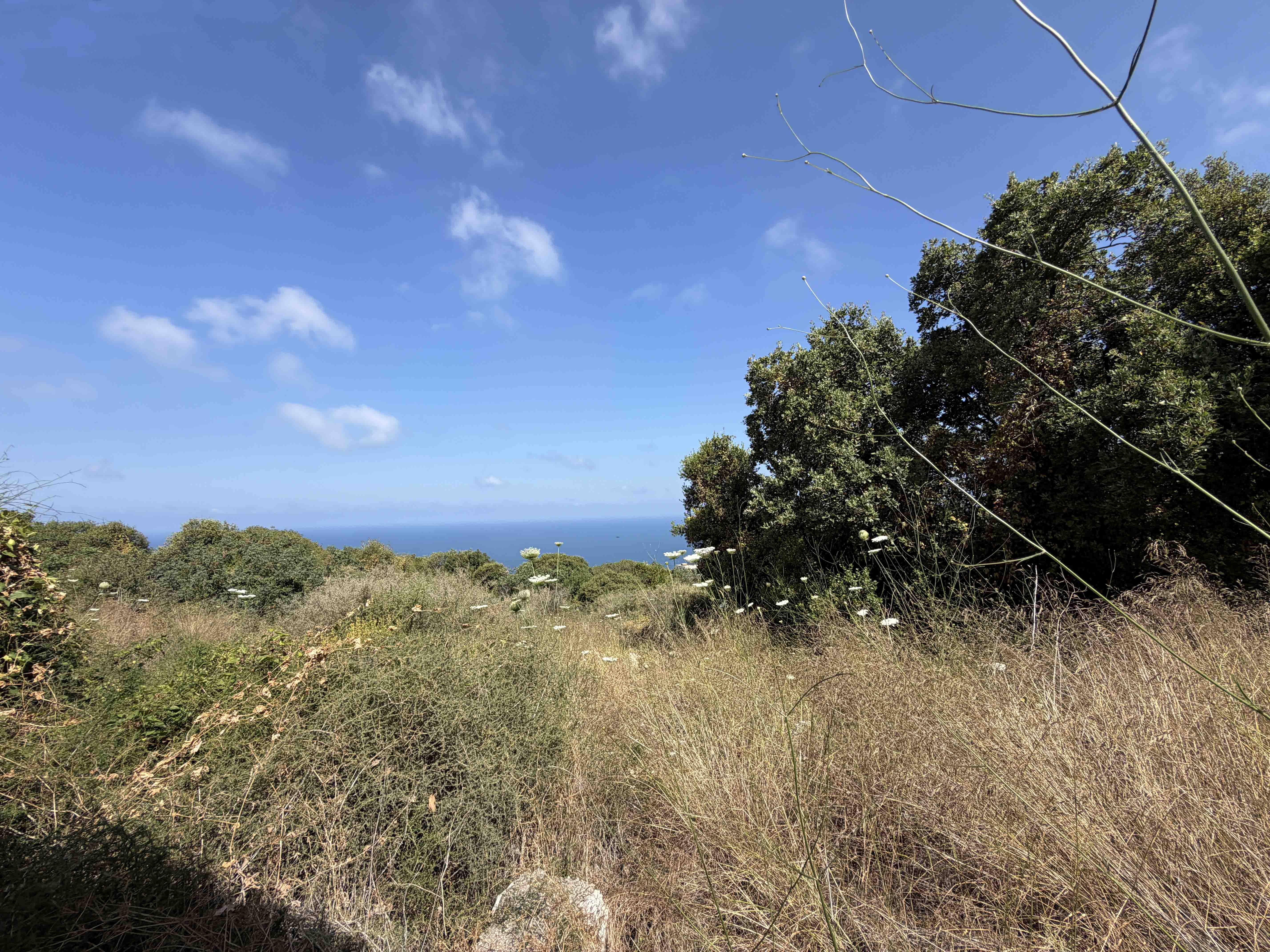 1950 sqm land for sale in batroun, thoum for $487500