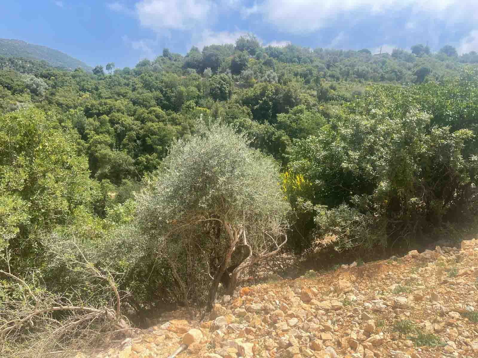 1763 sqm land for sale in jbeil, obeidat for $140000