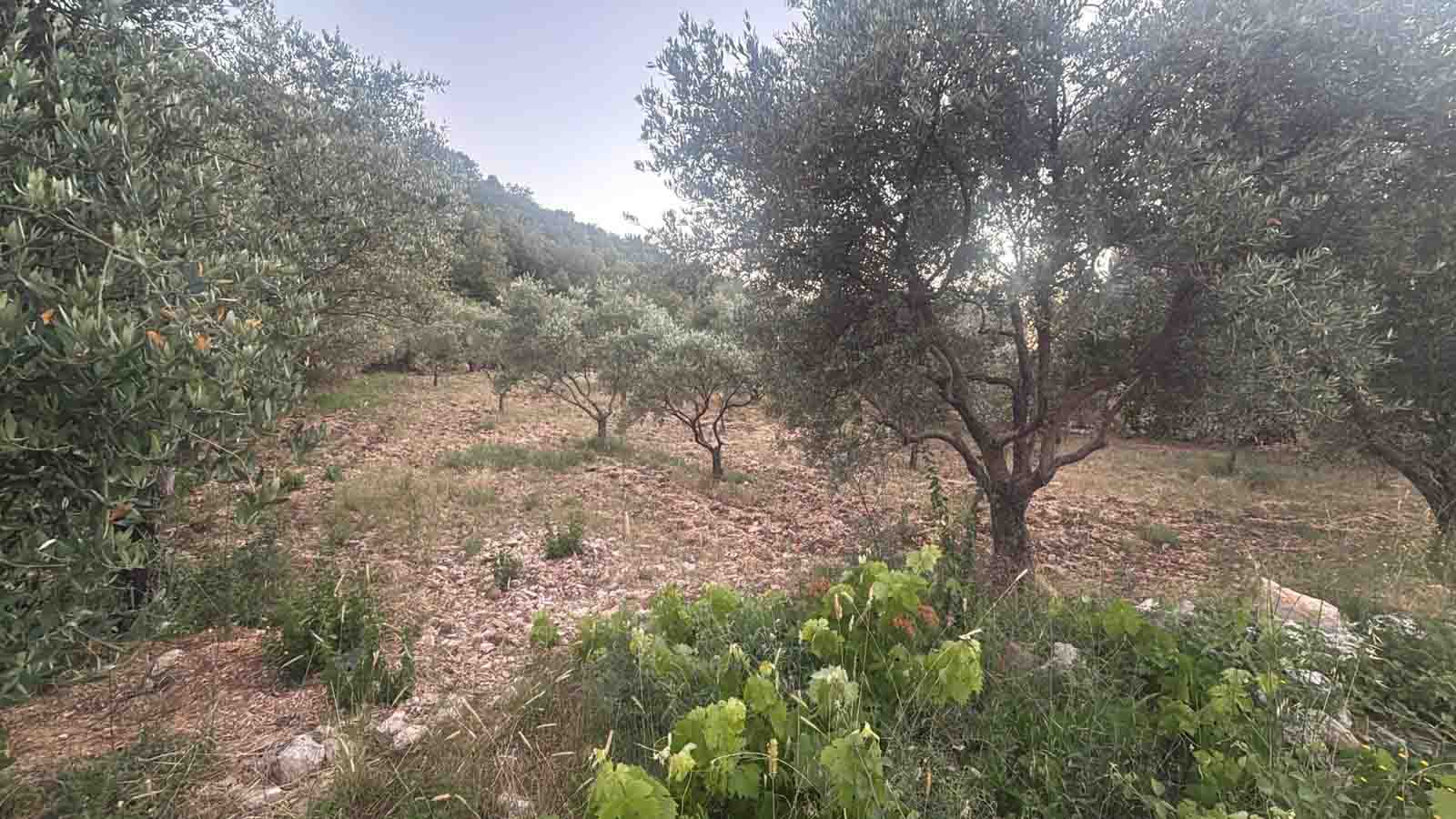 1300 sqm land for sale in jbeil, lehfed for $117000