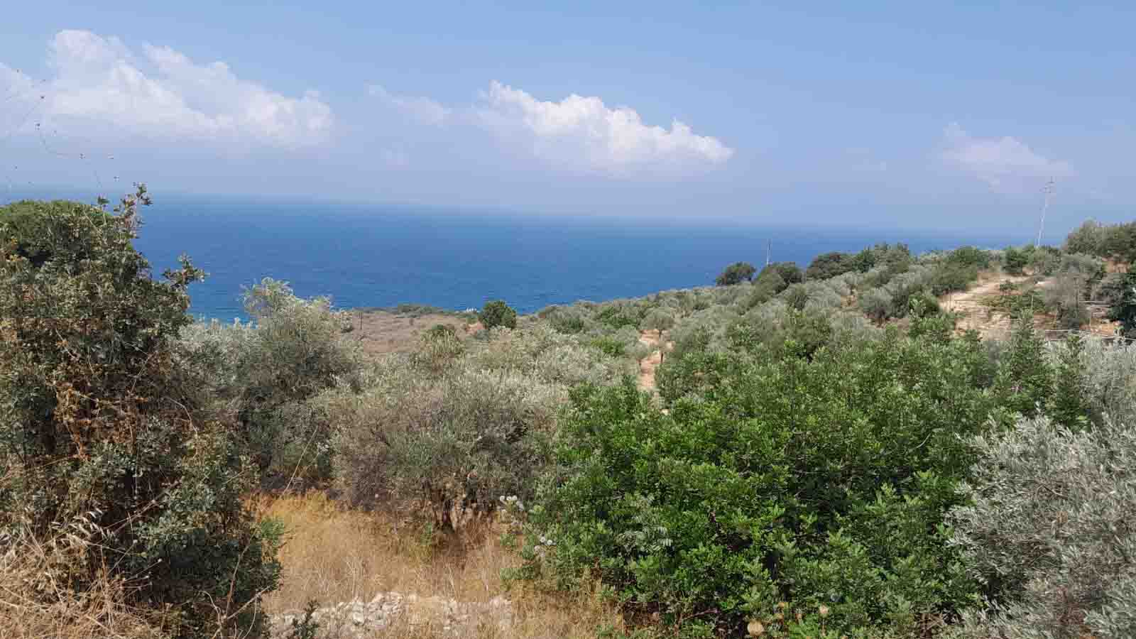 2166 sqm land for sale in jbeil, rihaneh for $740000