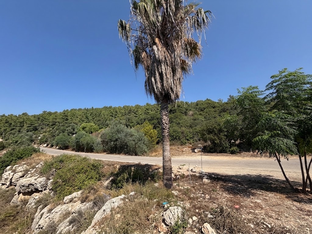 1073 sqm land for sale in kesrwan, adma for $972000