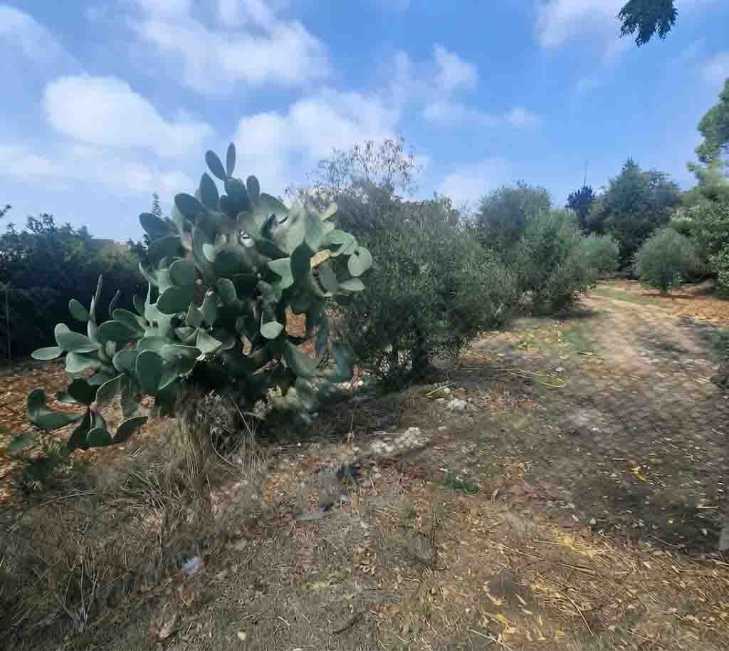 1997 sqm land for sale in jbeil, eddeh for $320000