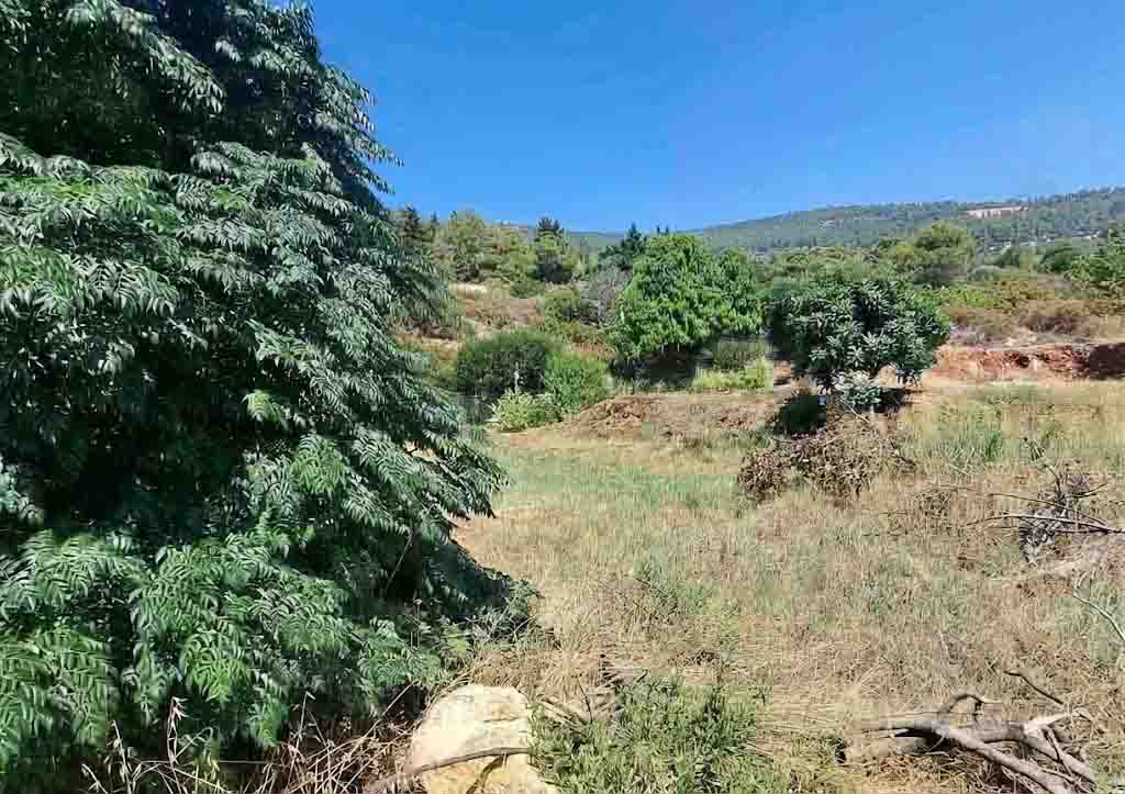 1006 sqm land for sale in jbeil, eddeh for $220000