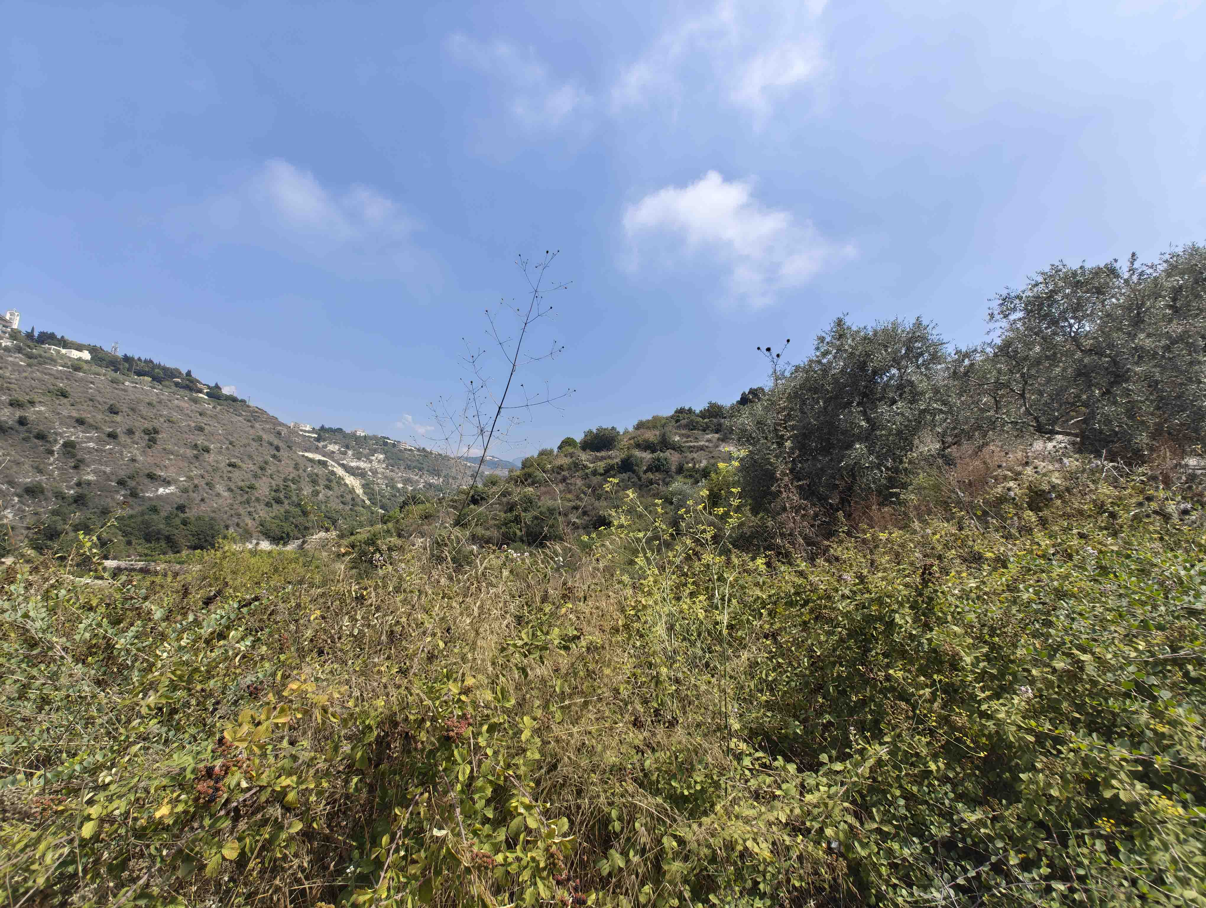 8300 sqm land for sale in jbeil, bentael for $580000