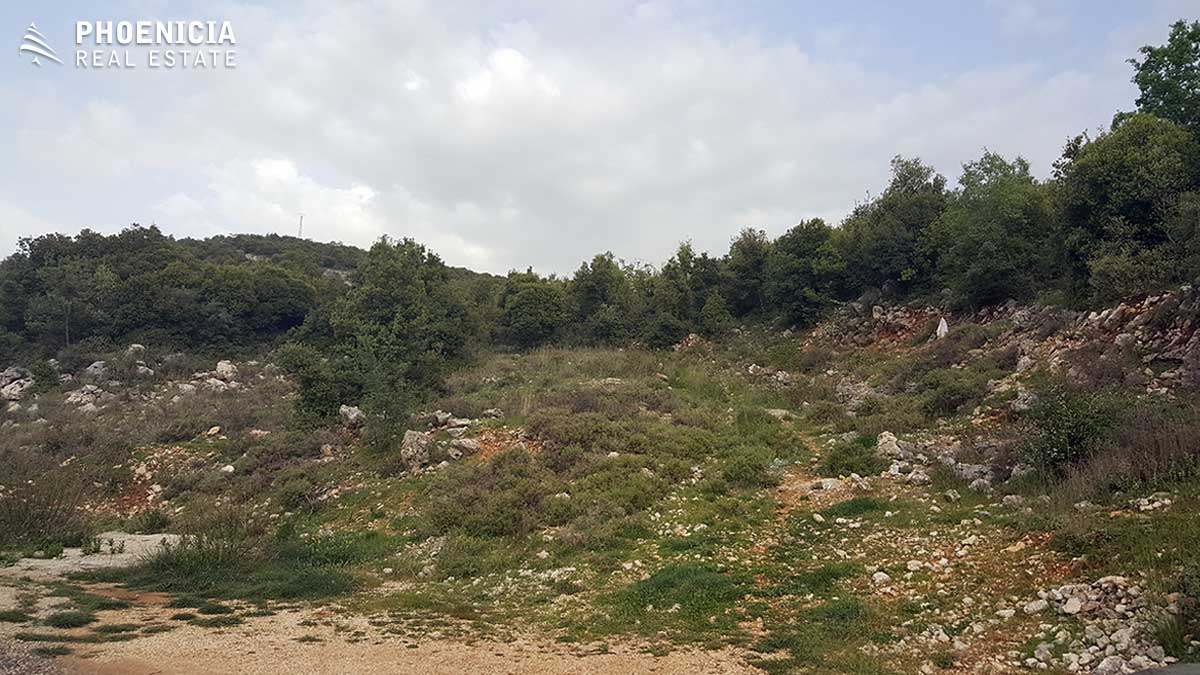 land for sale in ras osta