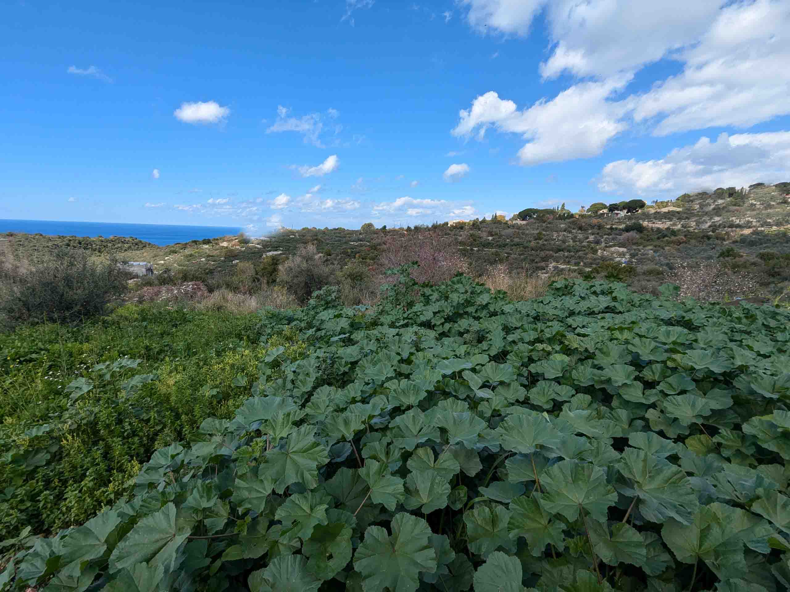 land for sale in chikhane