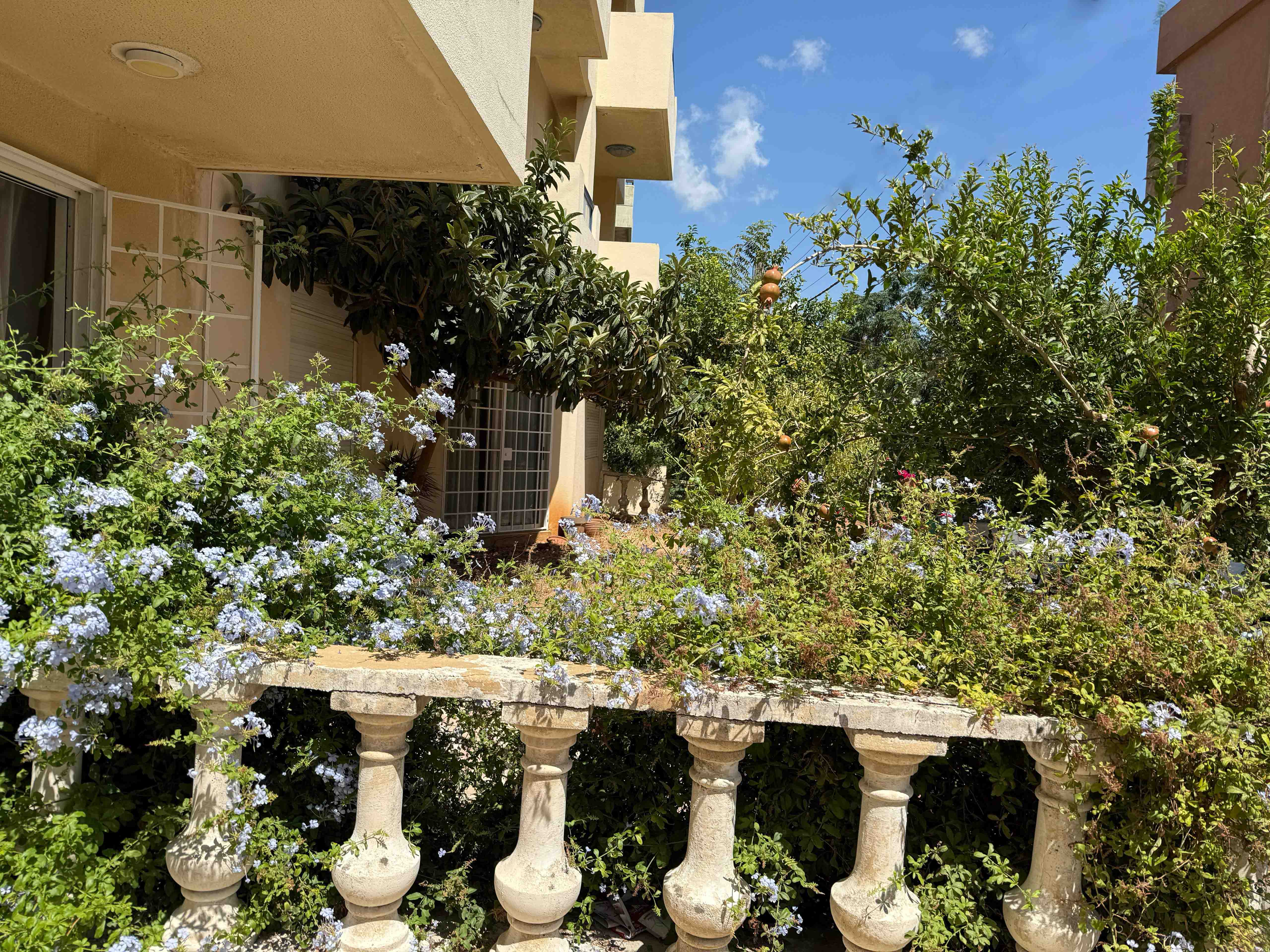 apartment for rent in amchit