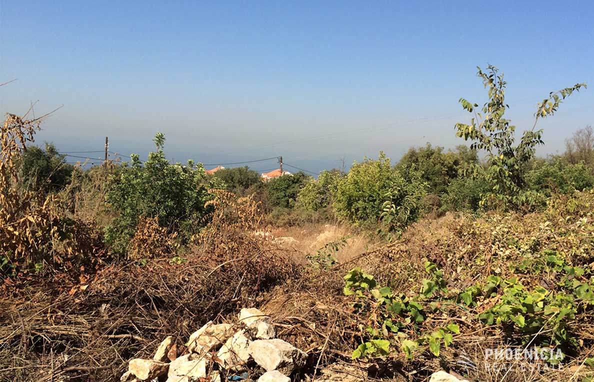 land for sale in eddeh